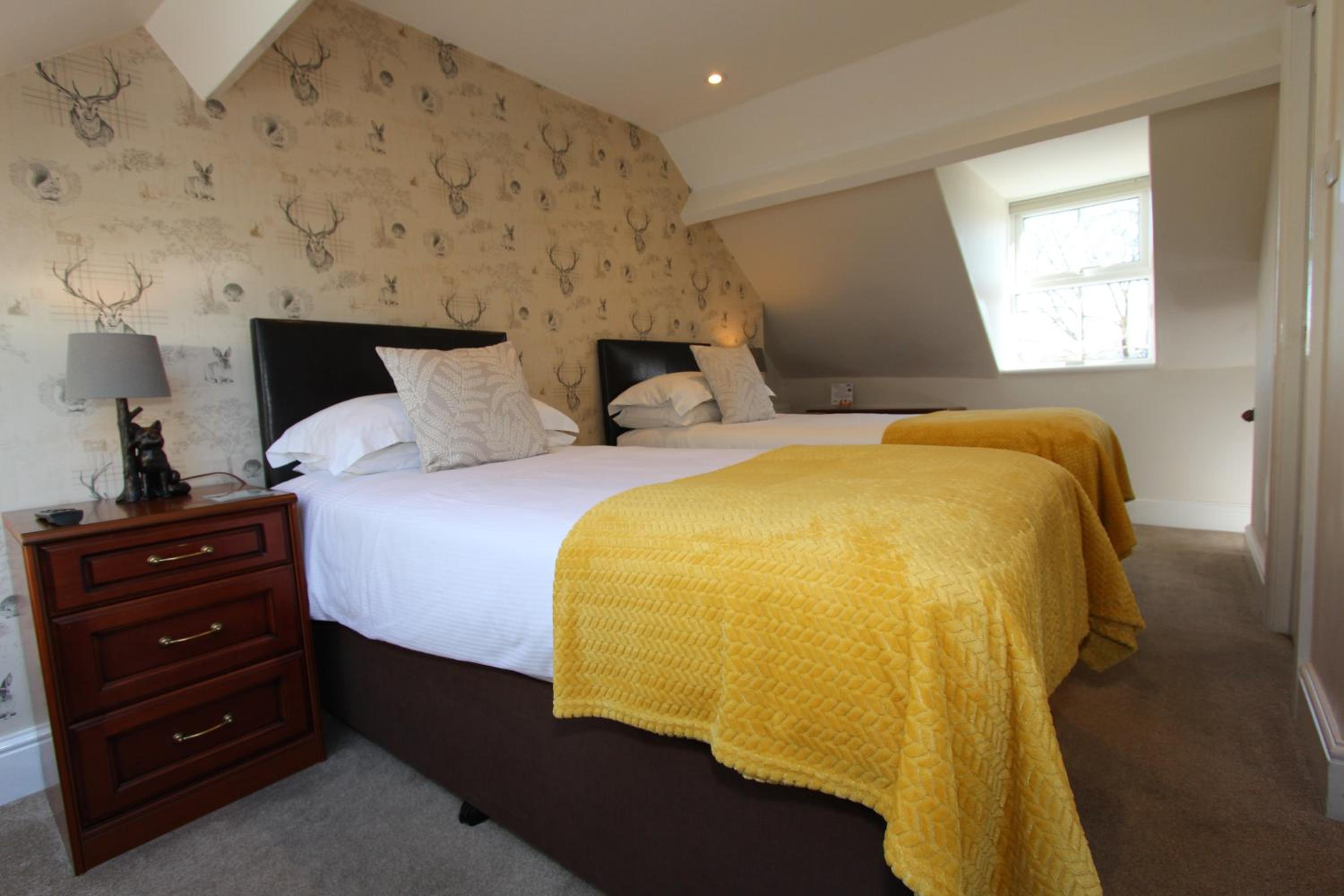 Twin Room with Mountain View photo 2