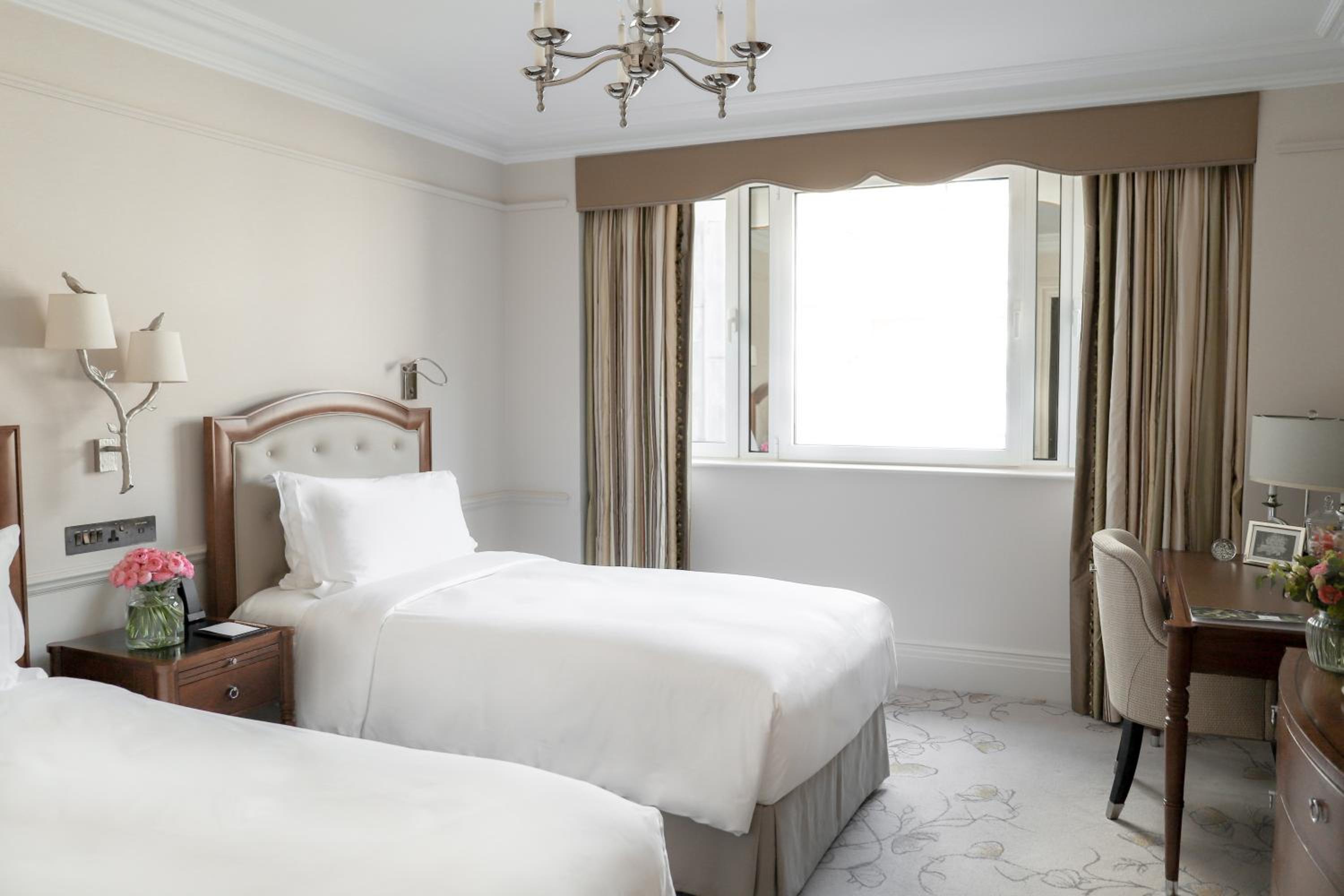 Standard Twin Room photo 1