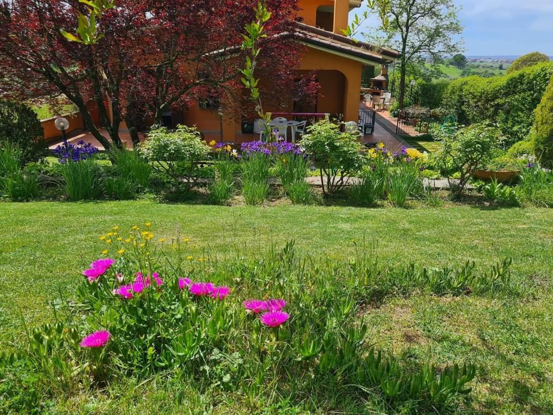 Apartment with Garden View photo 2