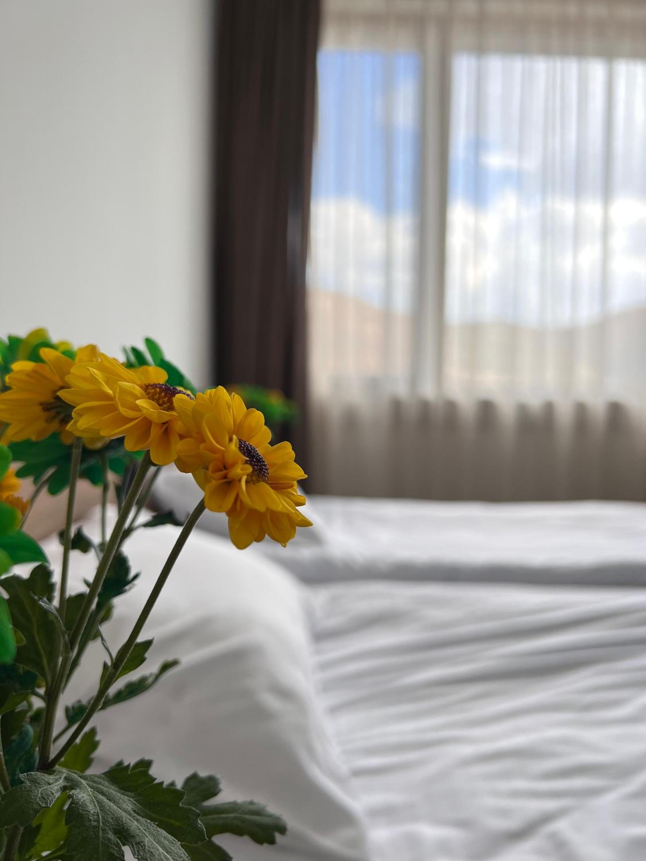 Deluxe Double or Twin Room with Mountain View photo 3