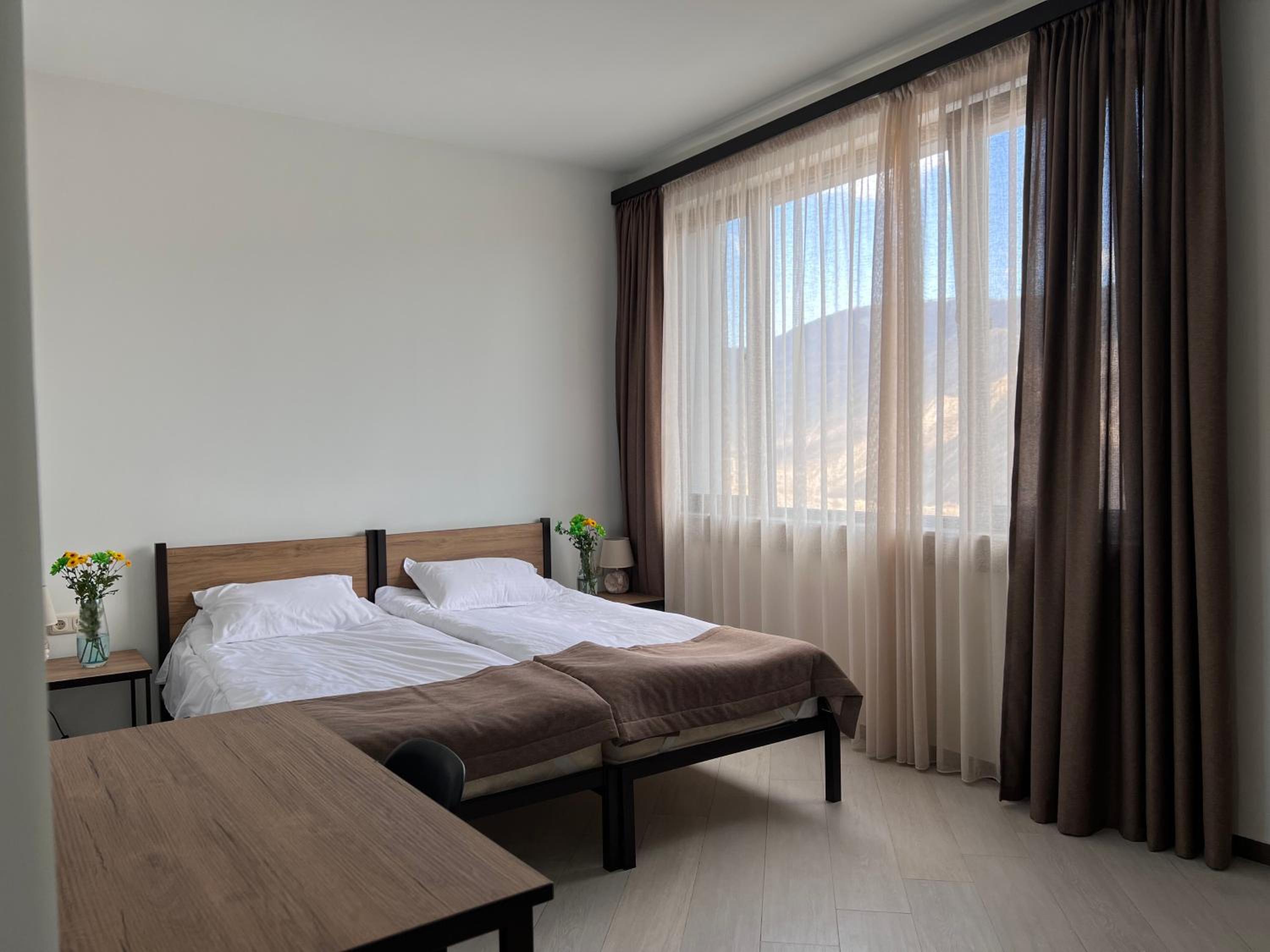 Superior Double or Twin Room with Mountain View photo 1