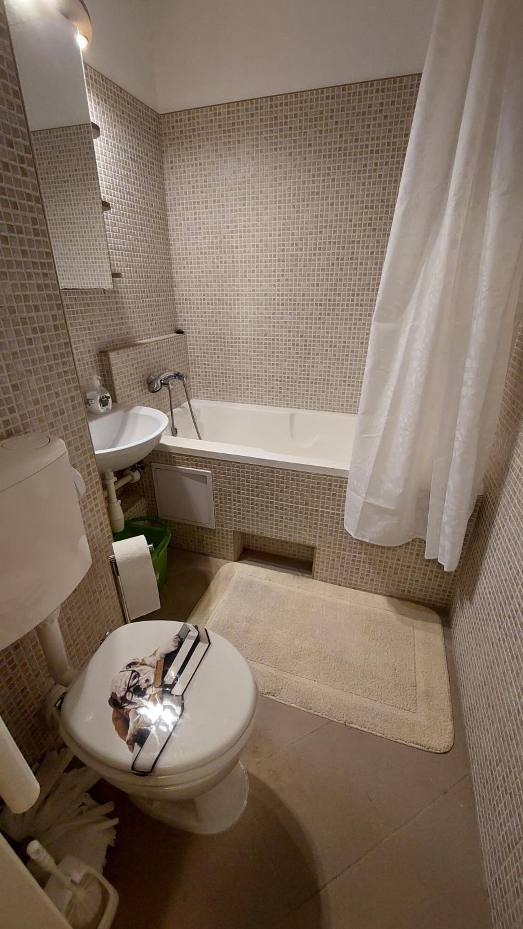 One-Bedroom Apartment photo 2