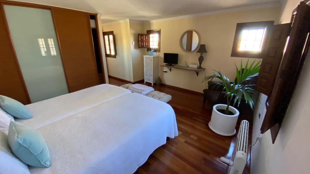 Superior Suite photo 2