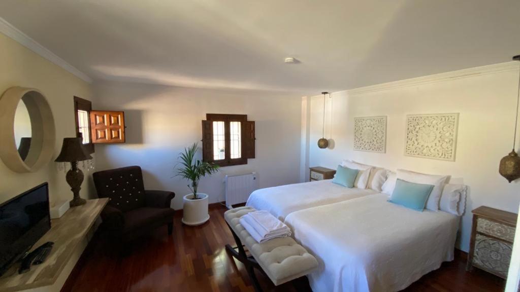 Suite Superior
