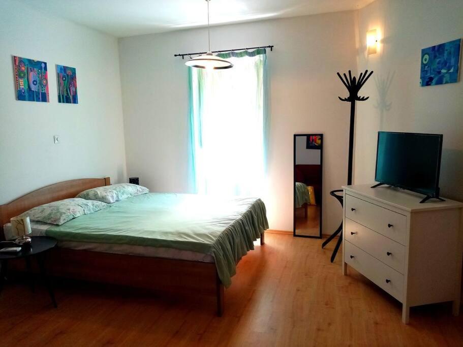 One-Bedroom Apartment photo 2