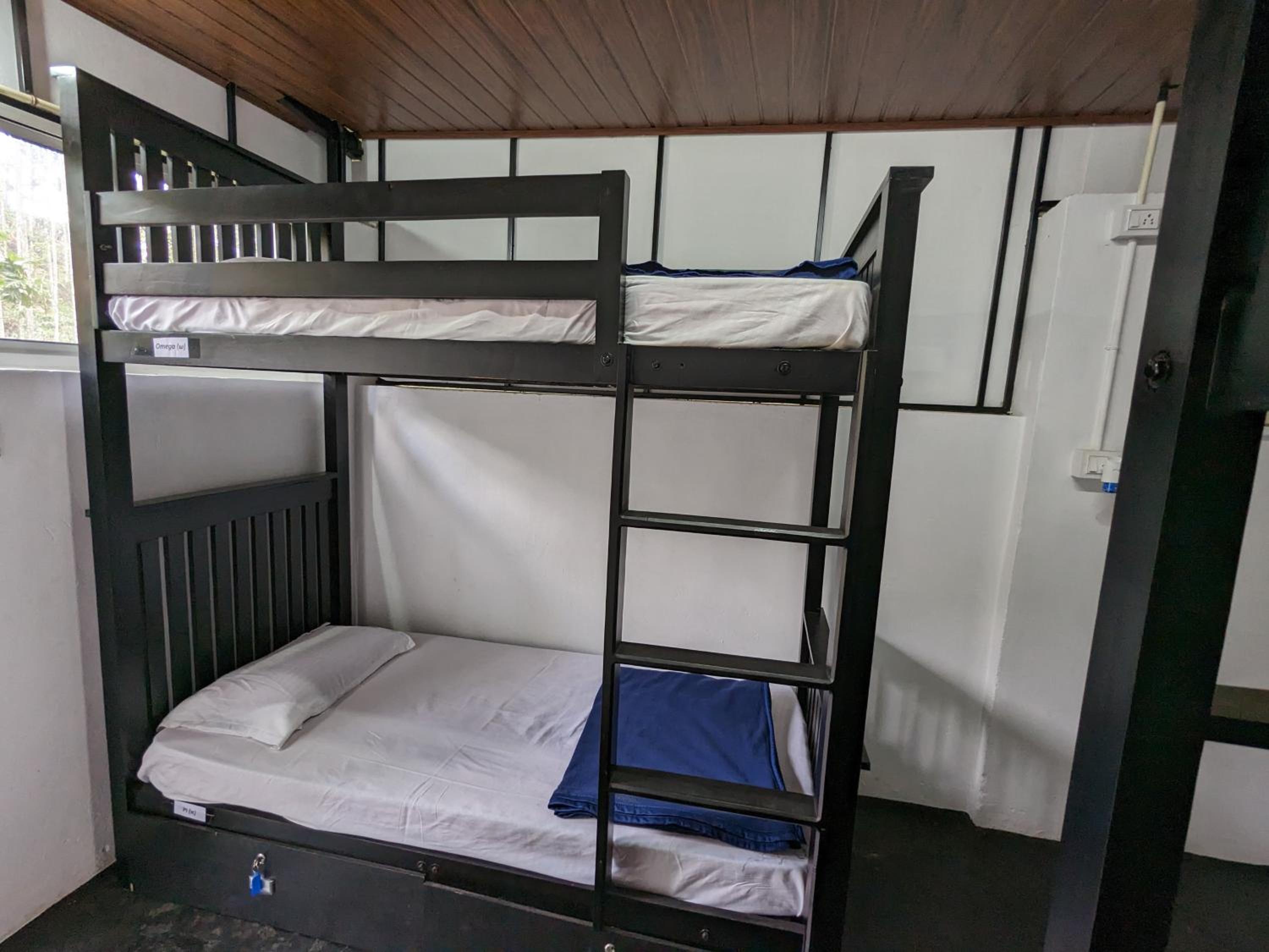 Bed in 6-Bed Mixed Dormitory Room photo 2