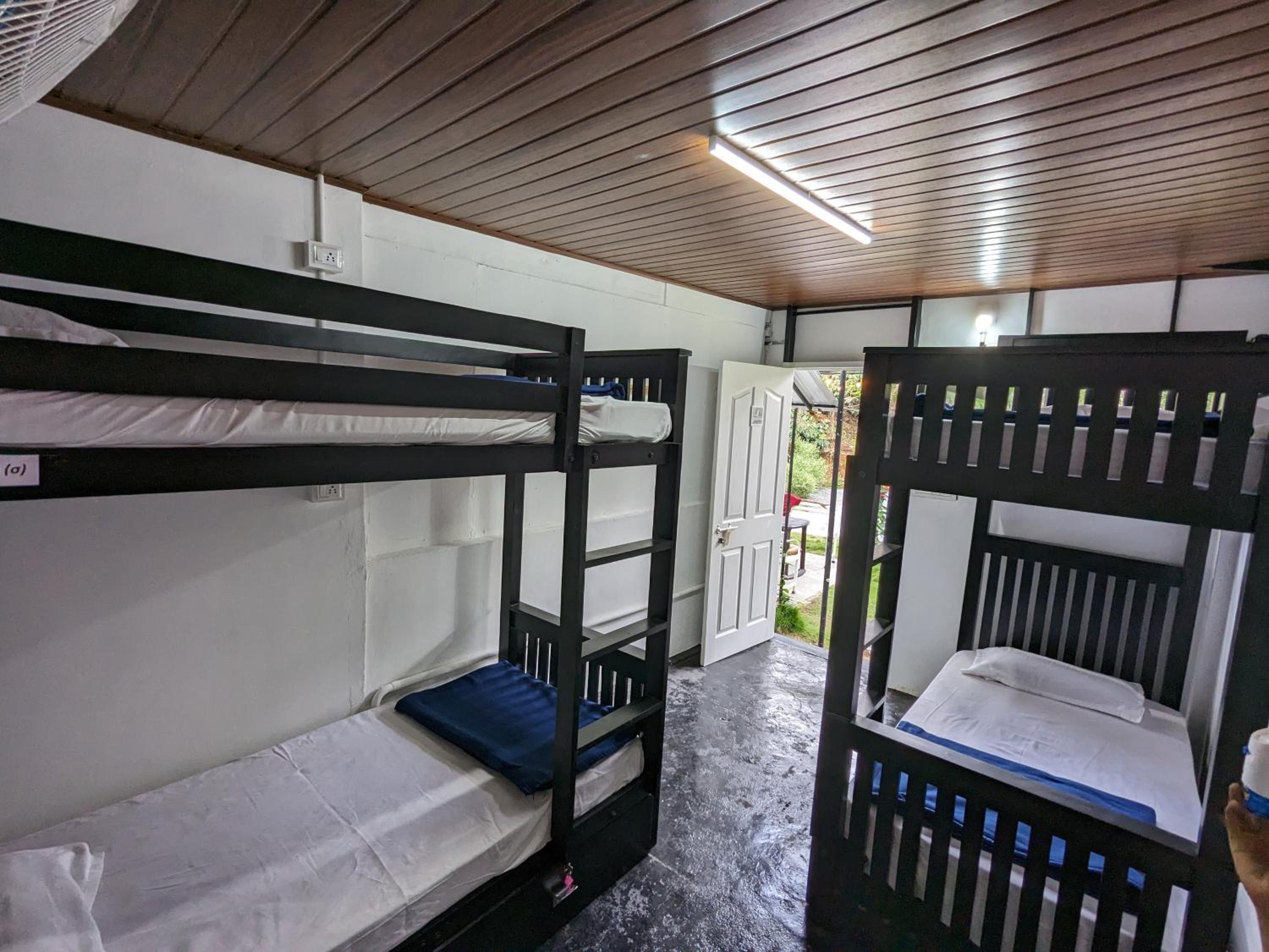 Bed in 4-Bed Mixed Dormitory Room photo 1