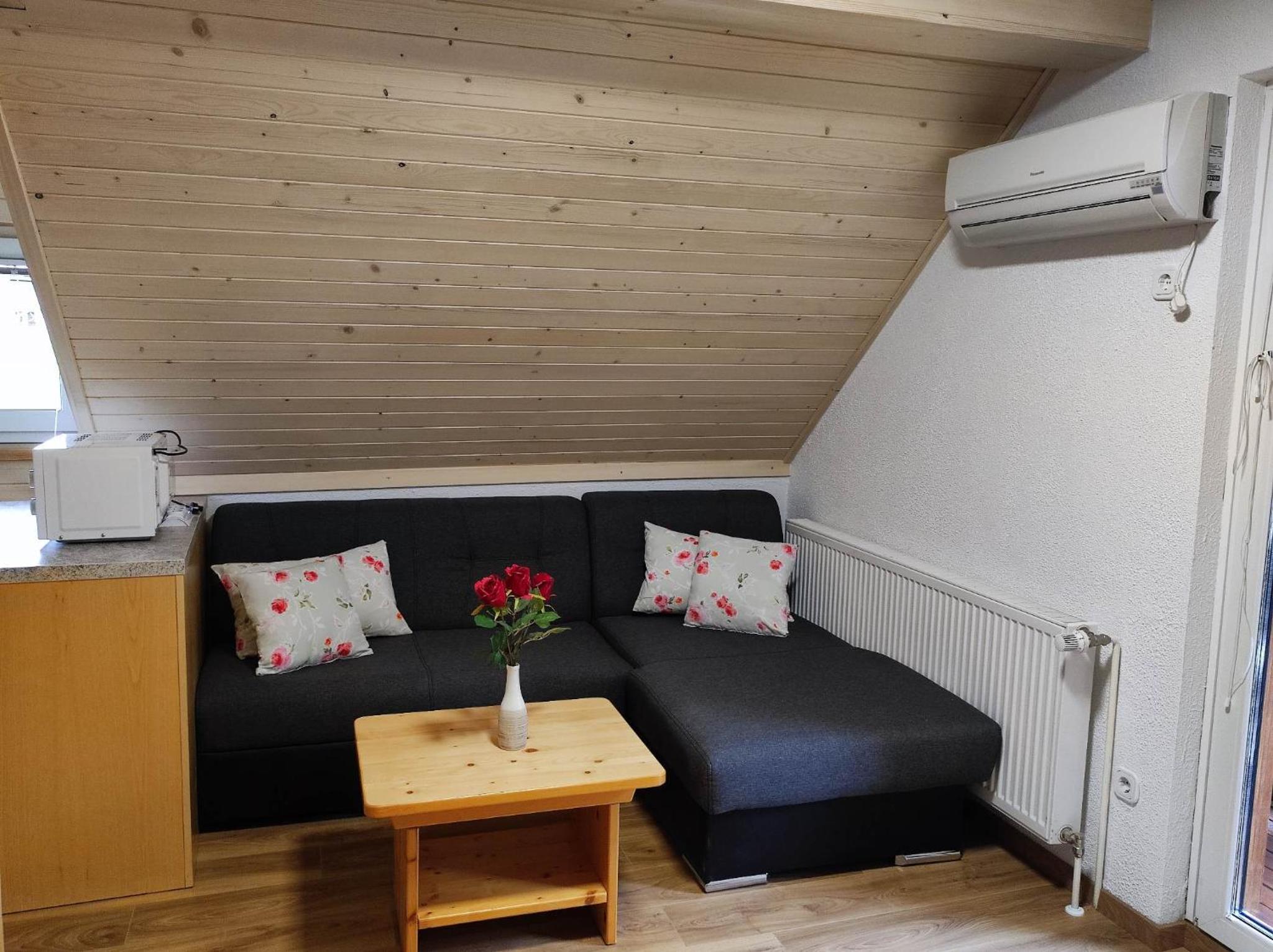 Studio Apartment photo 1
