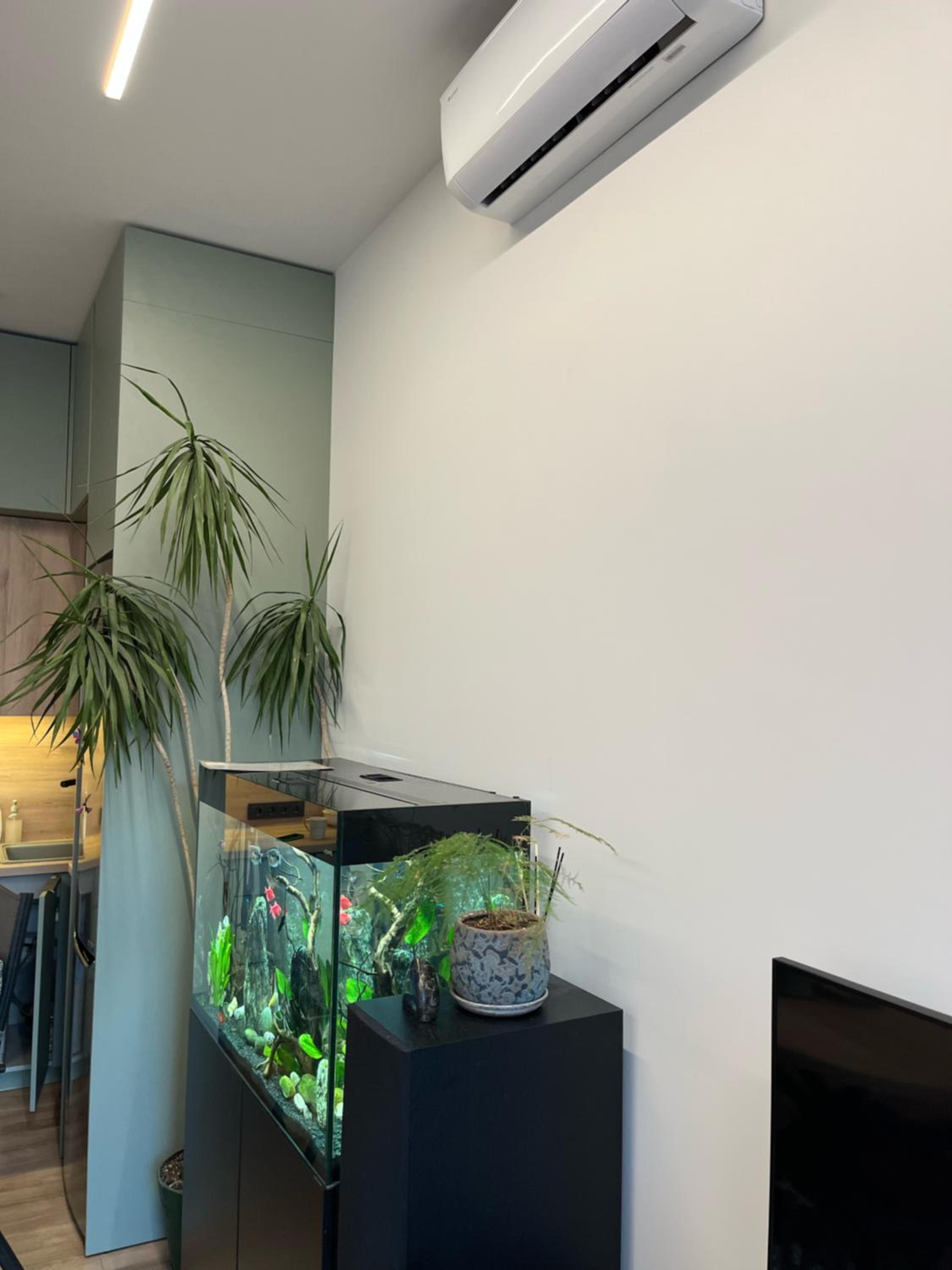 Superior Apartment - Photo 4