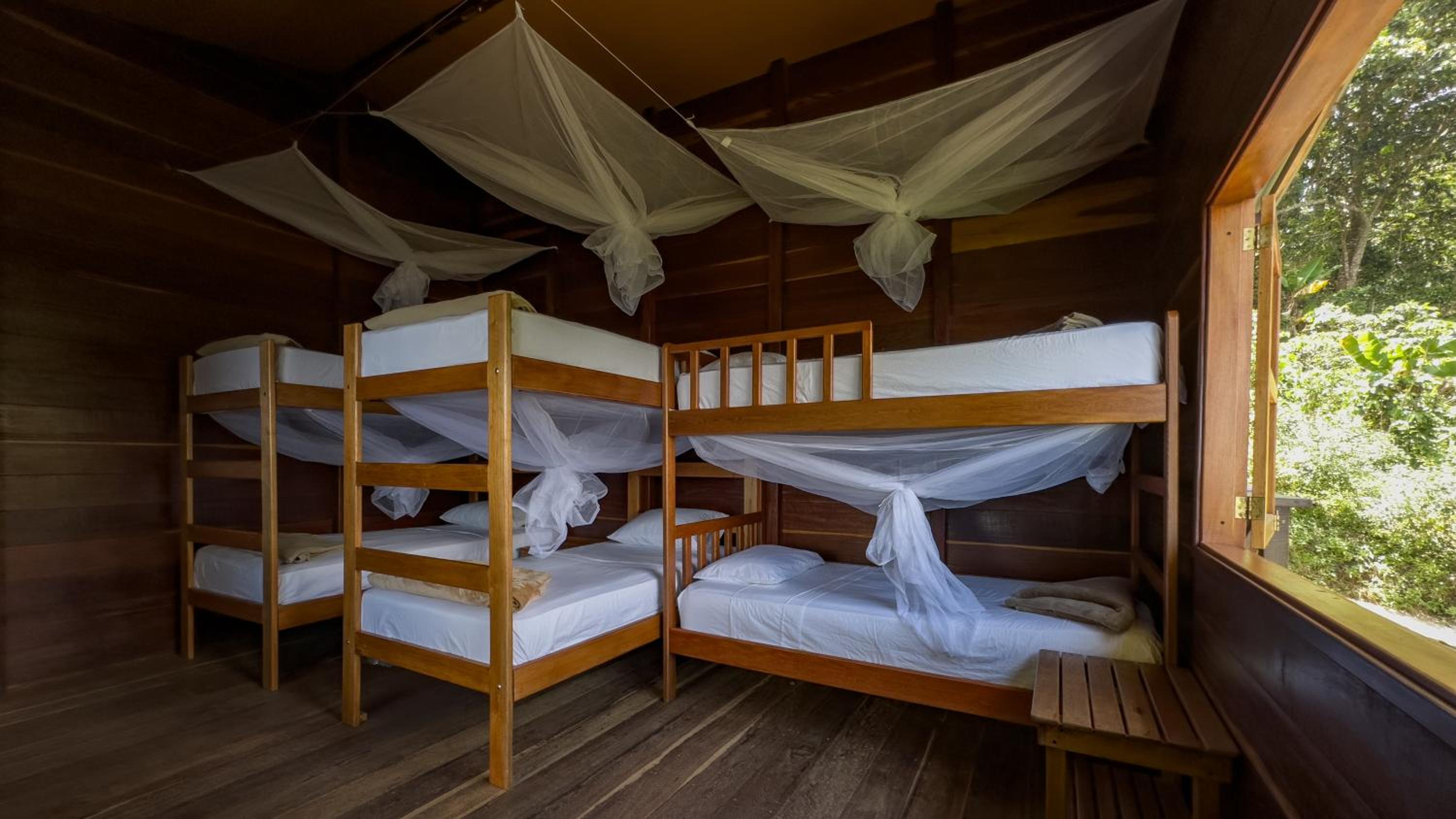 Single Bed in 6-Bed Dormitory Room photo 1