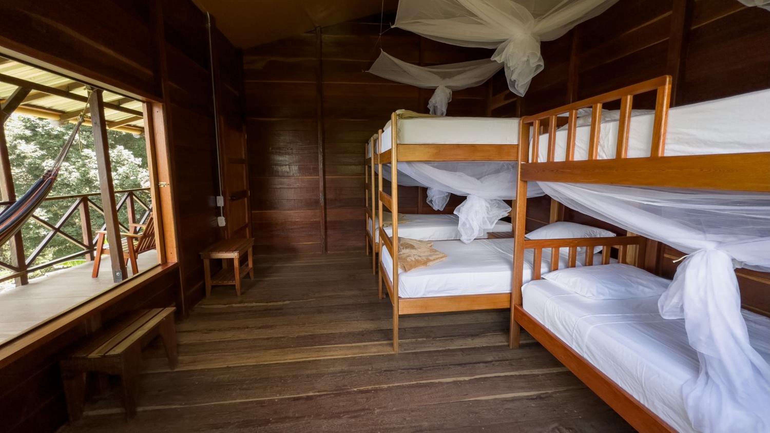 Single Bed in 6-Bed Dormitory Room photo 3