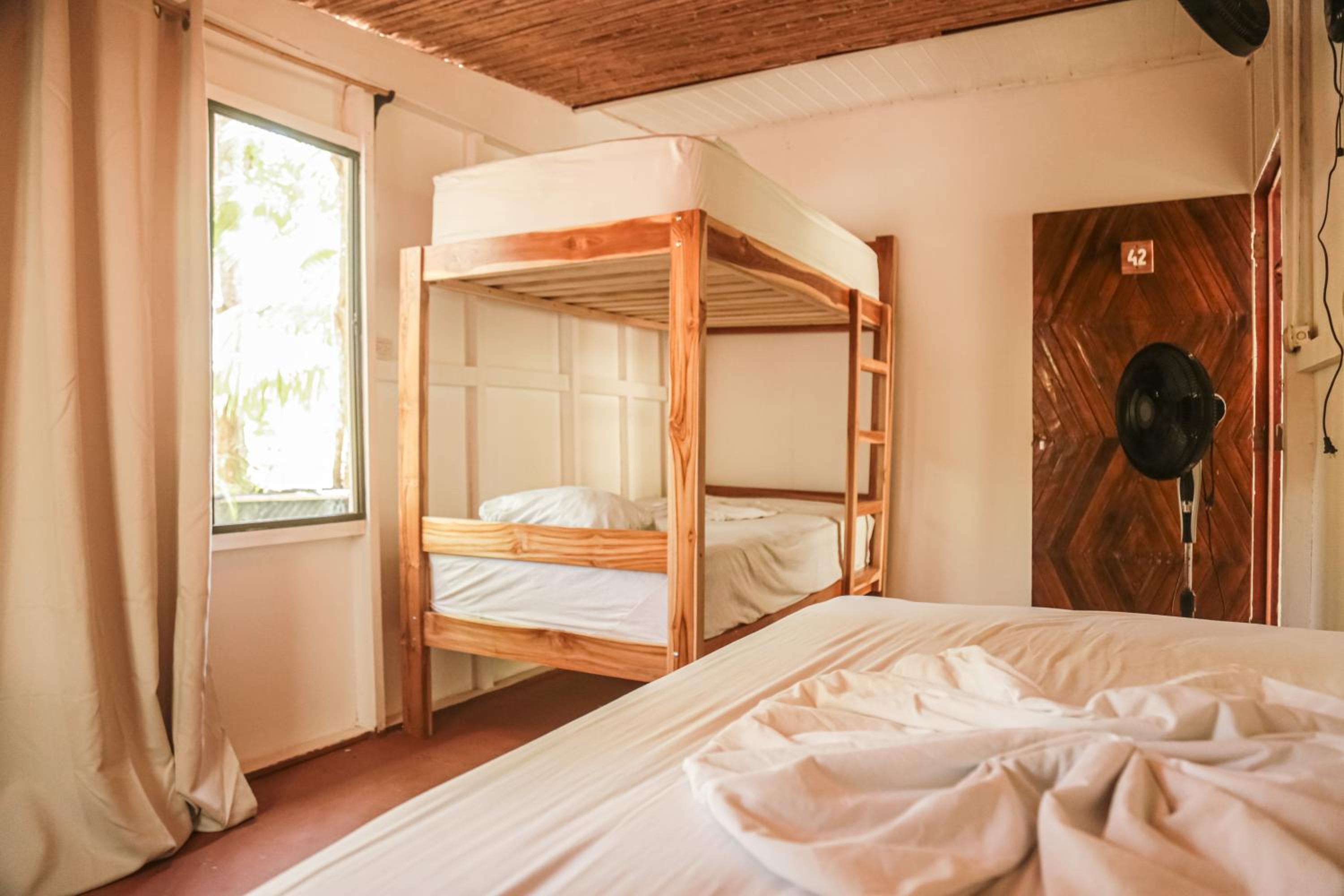 Bunk Bed in Mixed Dormitory Room