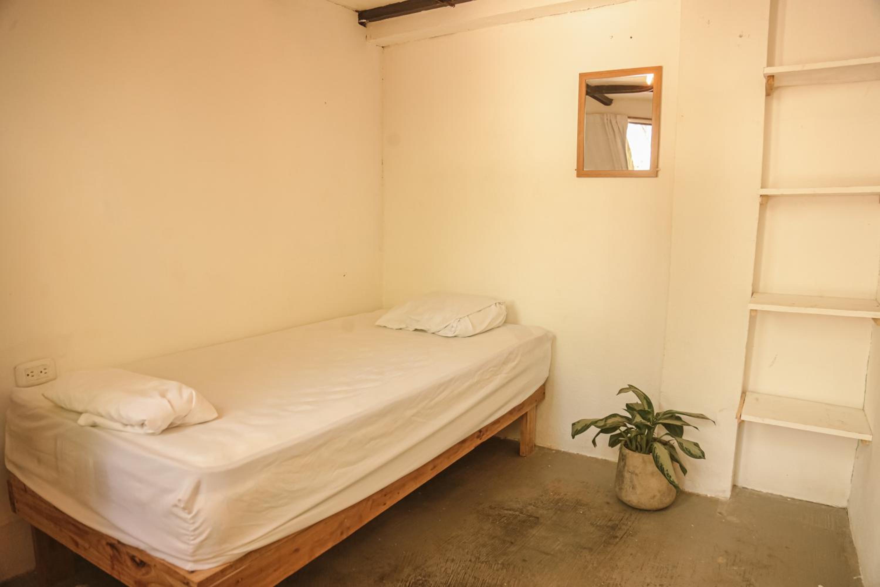 Budget Single Room
