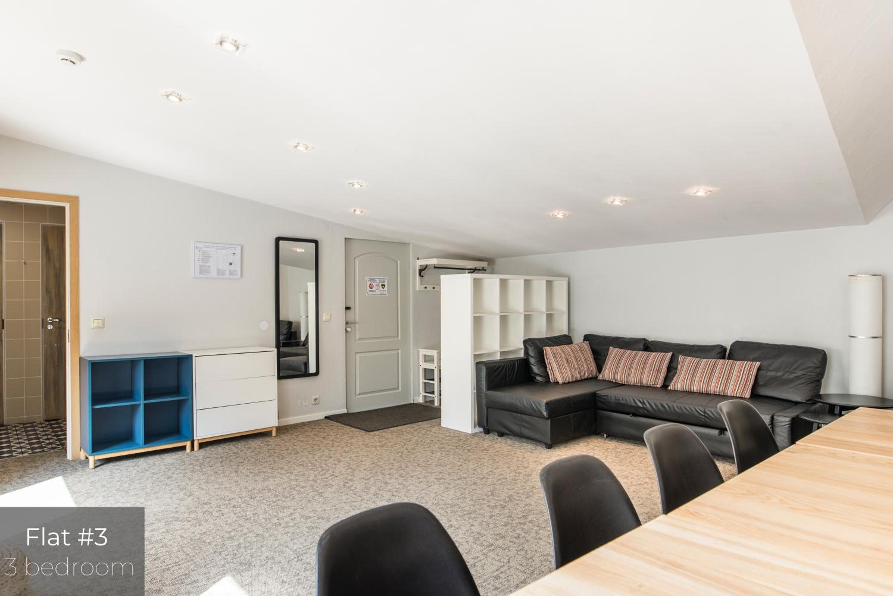 Three-Bedroom Apartment with Large Terrace Nr. 3 - Photo 9