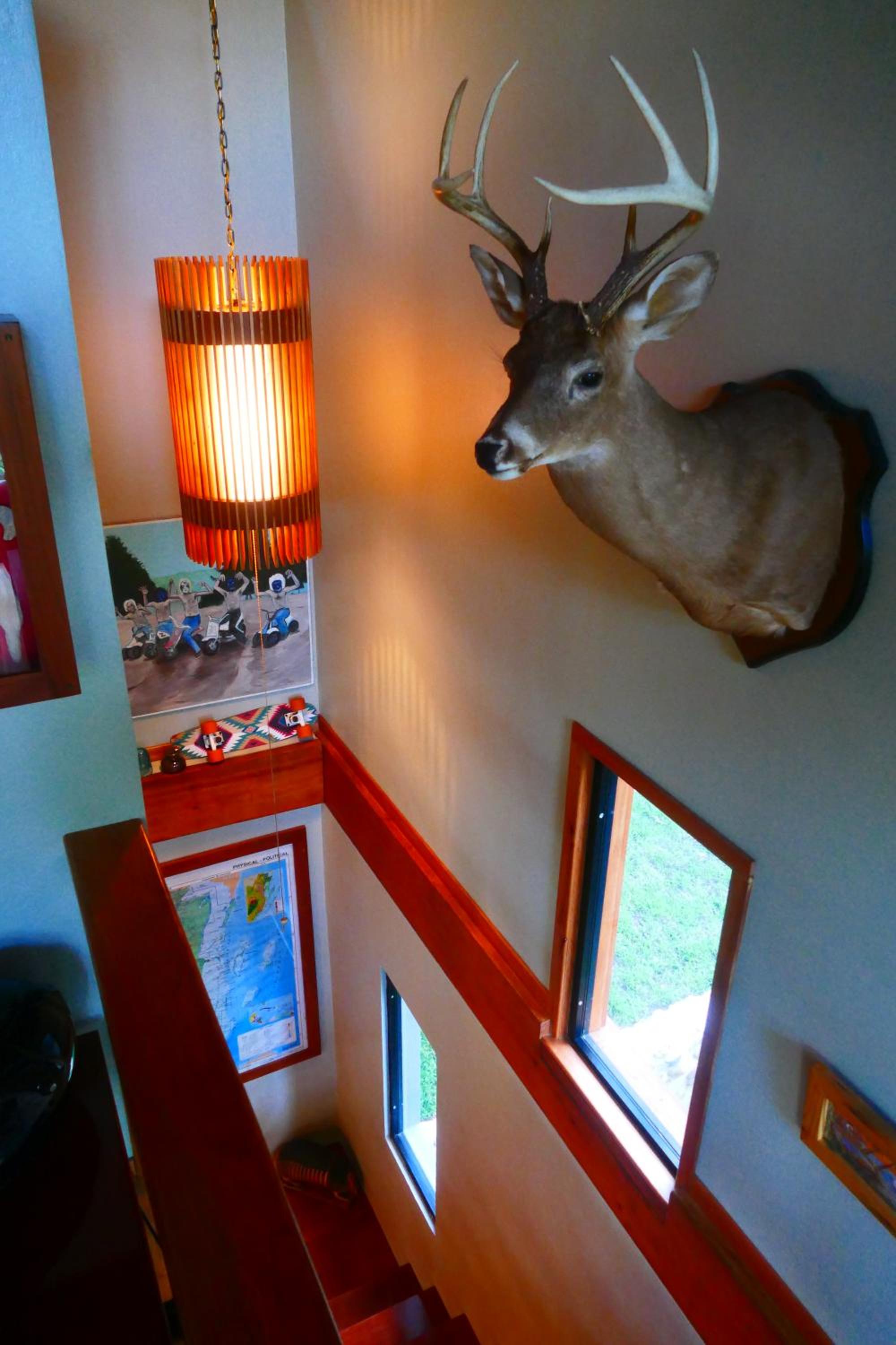 One-Bedroom House photo 2