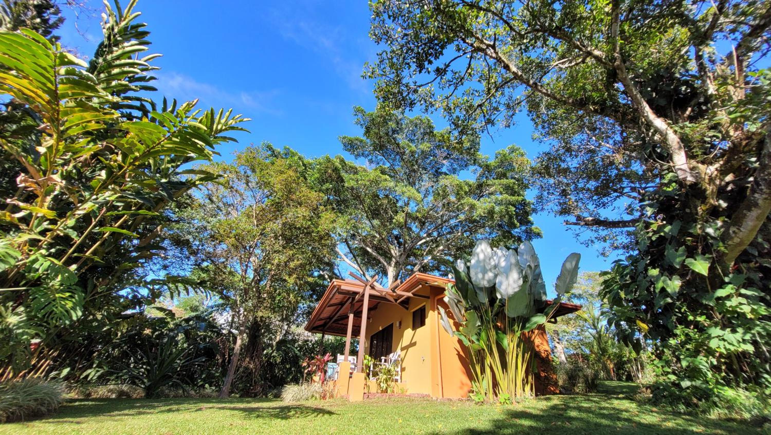 Bungalow (3 Adults) photo 2