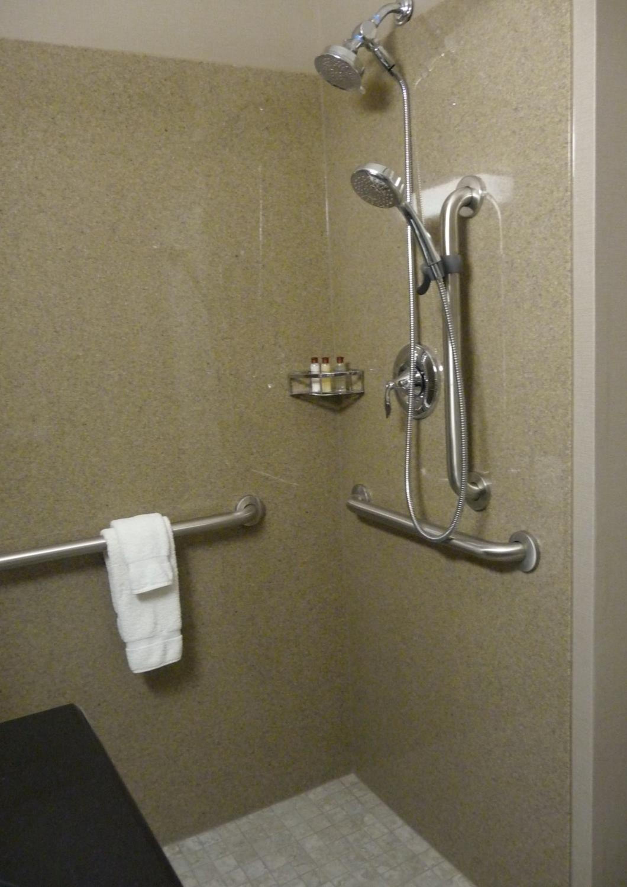 King Room with Roll-in Shower - Mobility Access/Non-Smoking - Photo 5