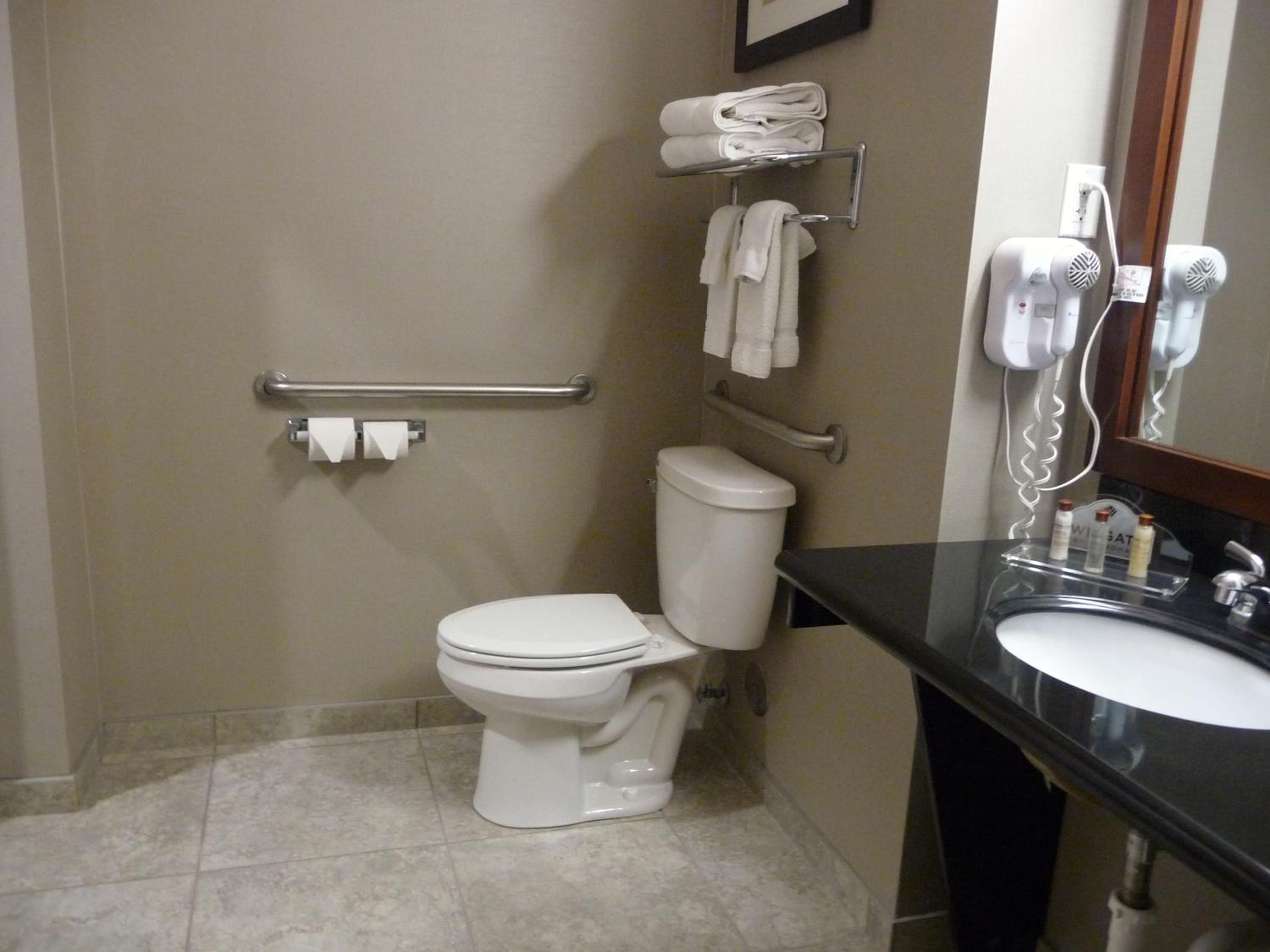 King Room with Roll-in Shower - Mobility Access/Non-Smoking - Photo 7