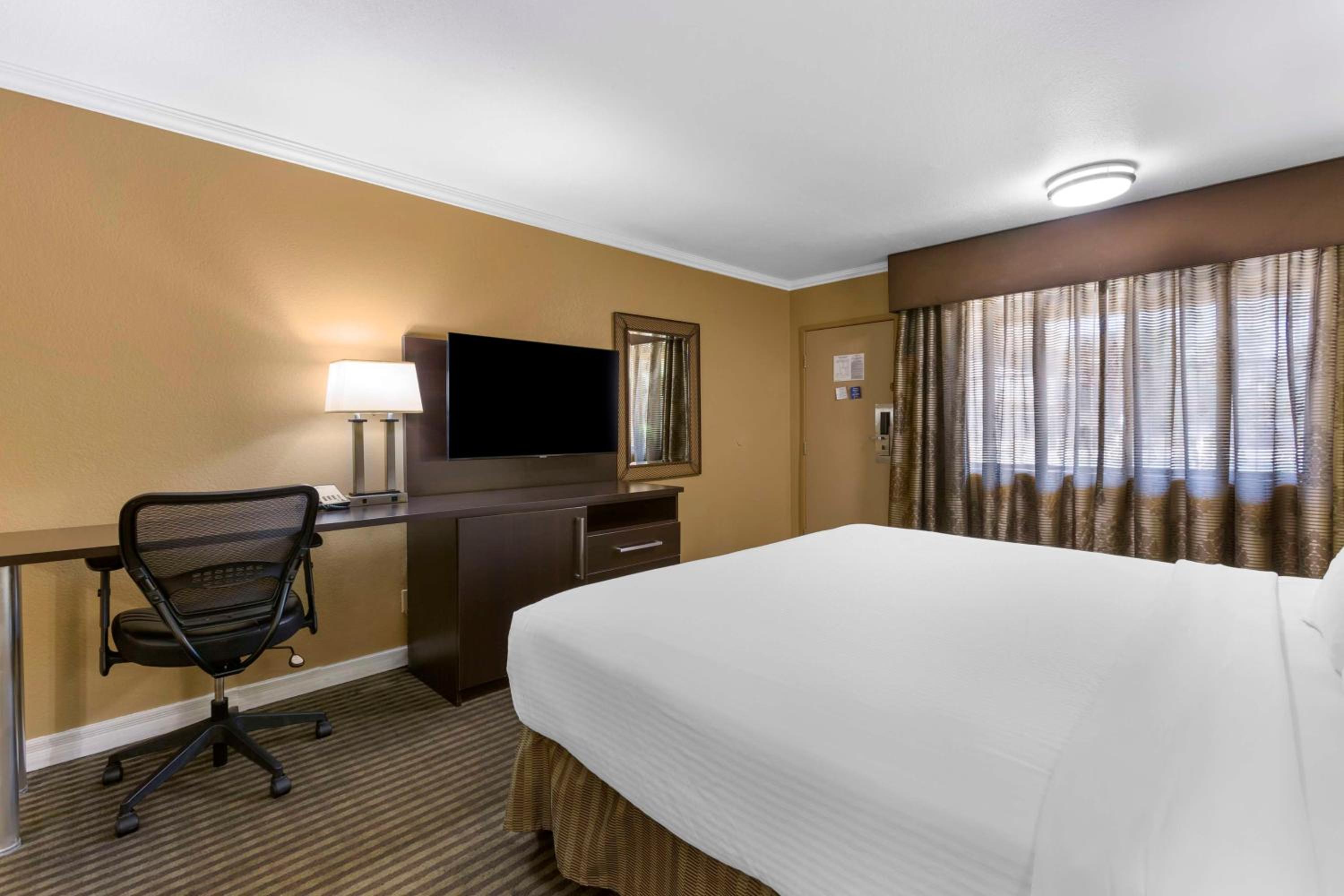 King Room with Walk-In Shower - Mobility Access - Photo 1