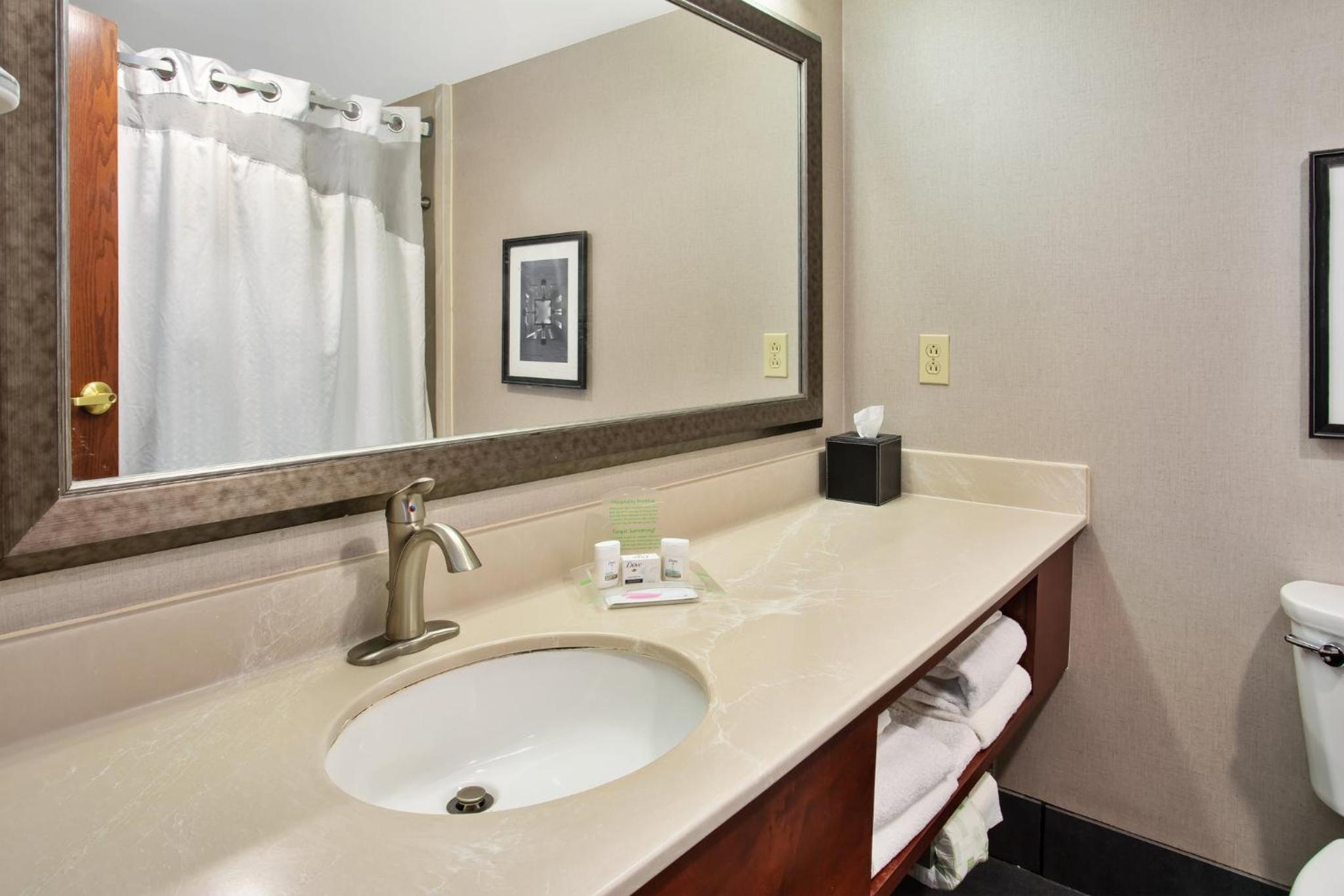 King Suite - Photo 6