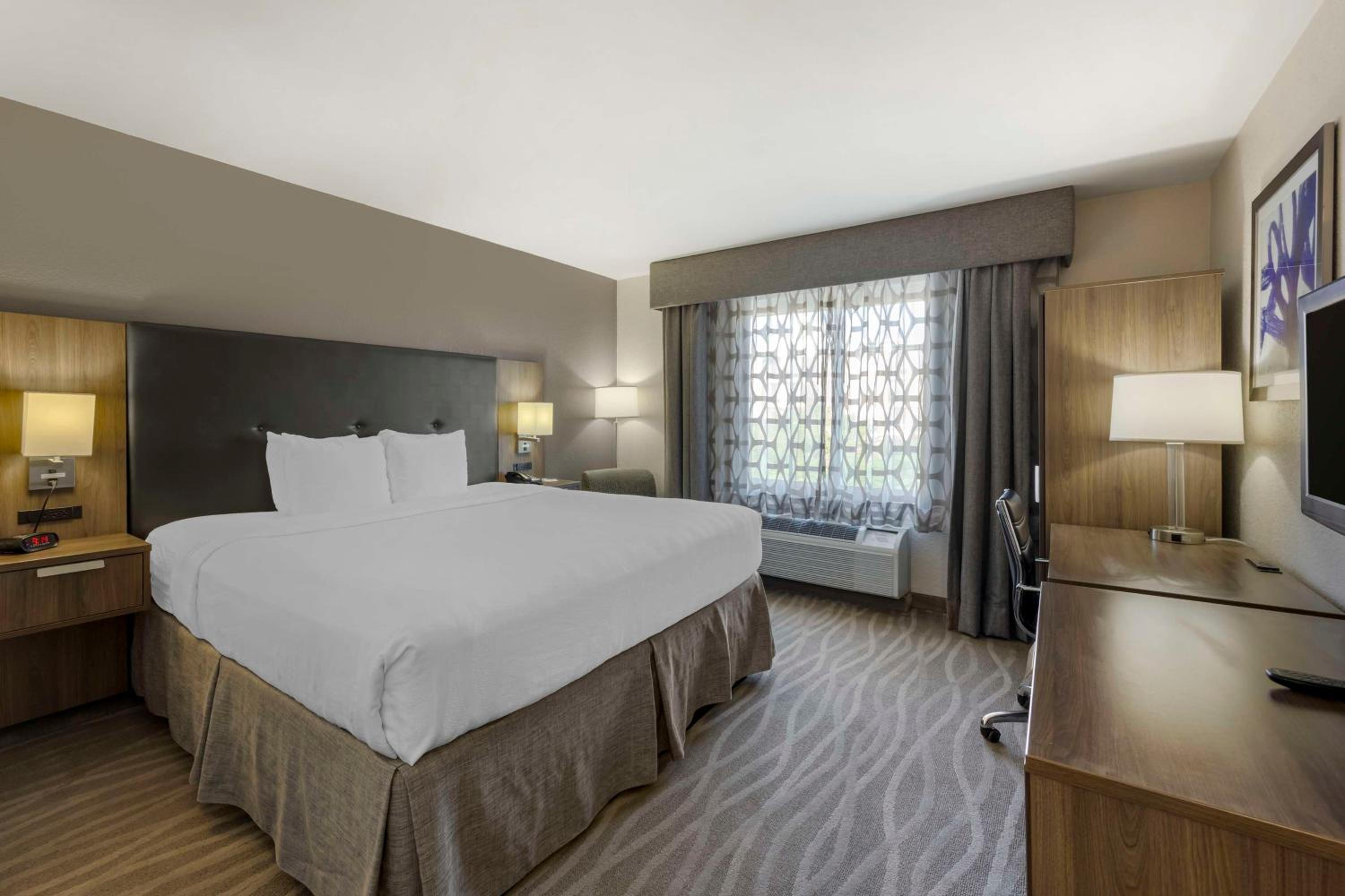 King Room - Non-Smoking - Photo 4