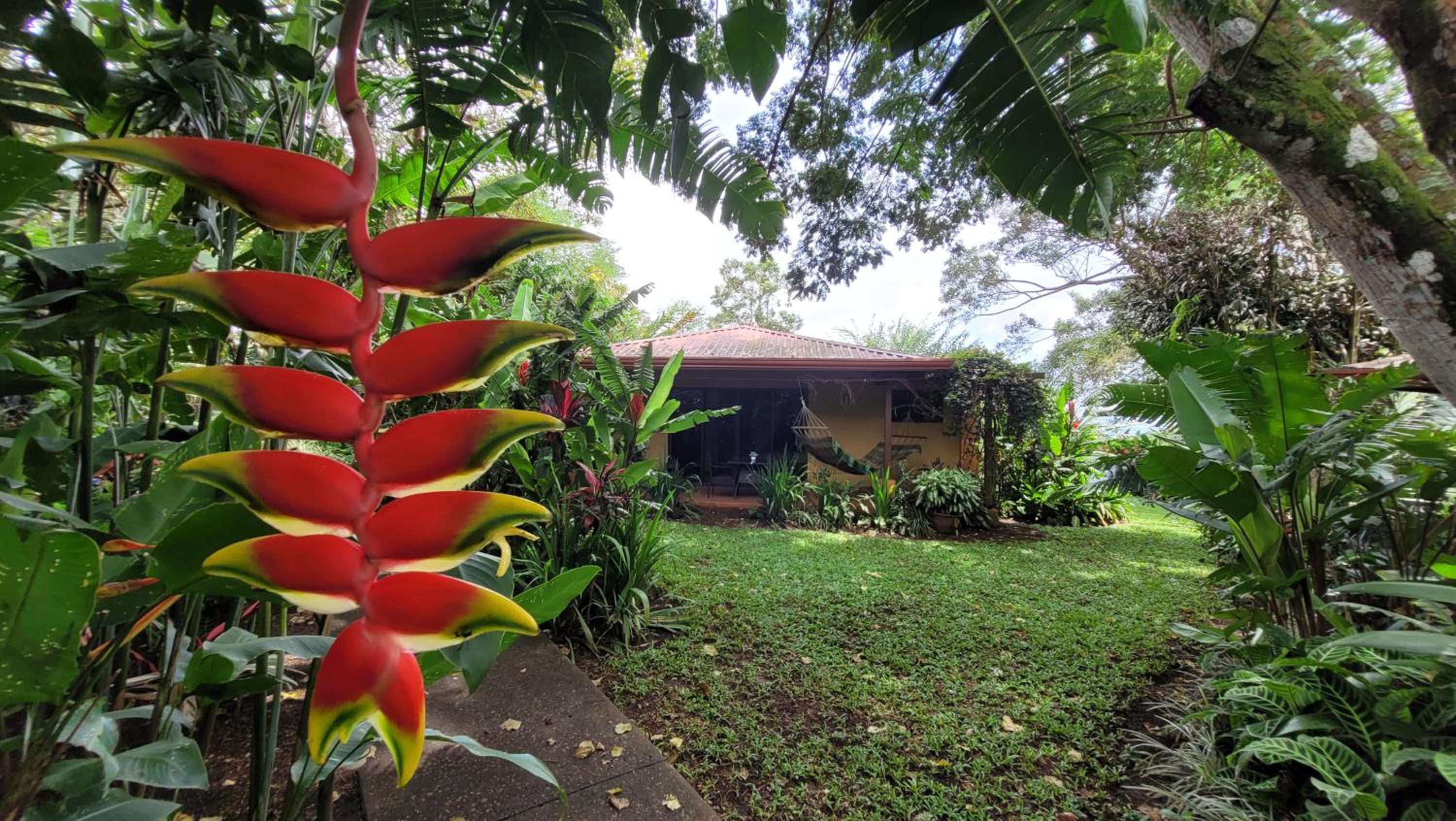 Bungalow (2 Adults) photo 3