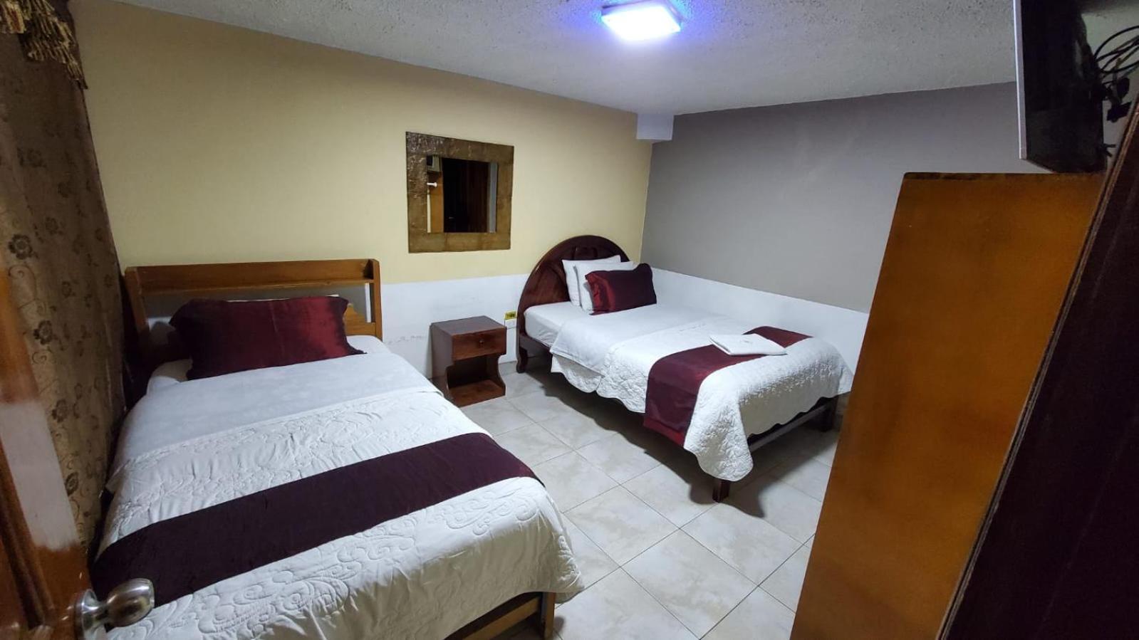 Twin Room photo 2