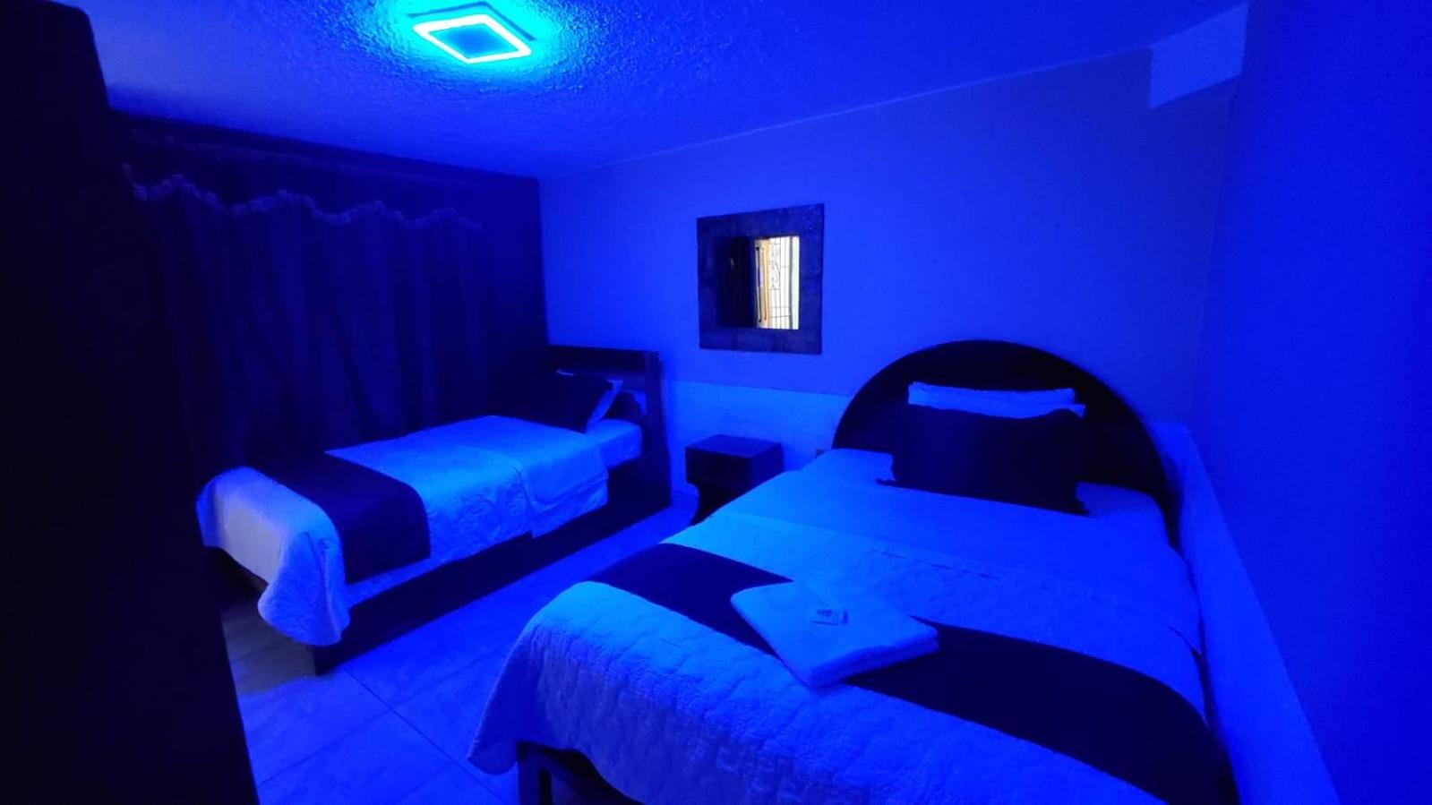 Twin Room photo 3
