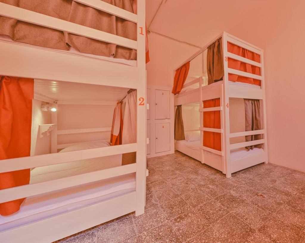 Bed in 4-Bed Mixed Dormitory Room