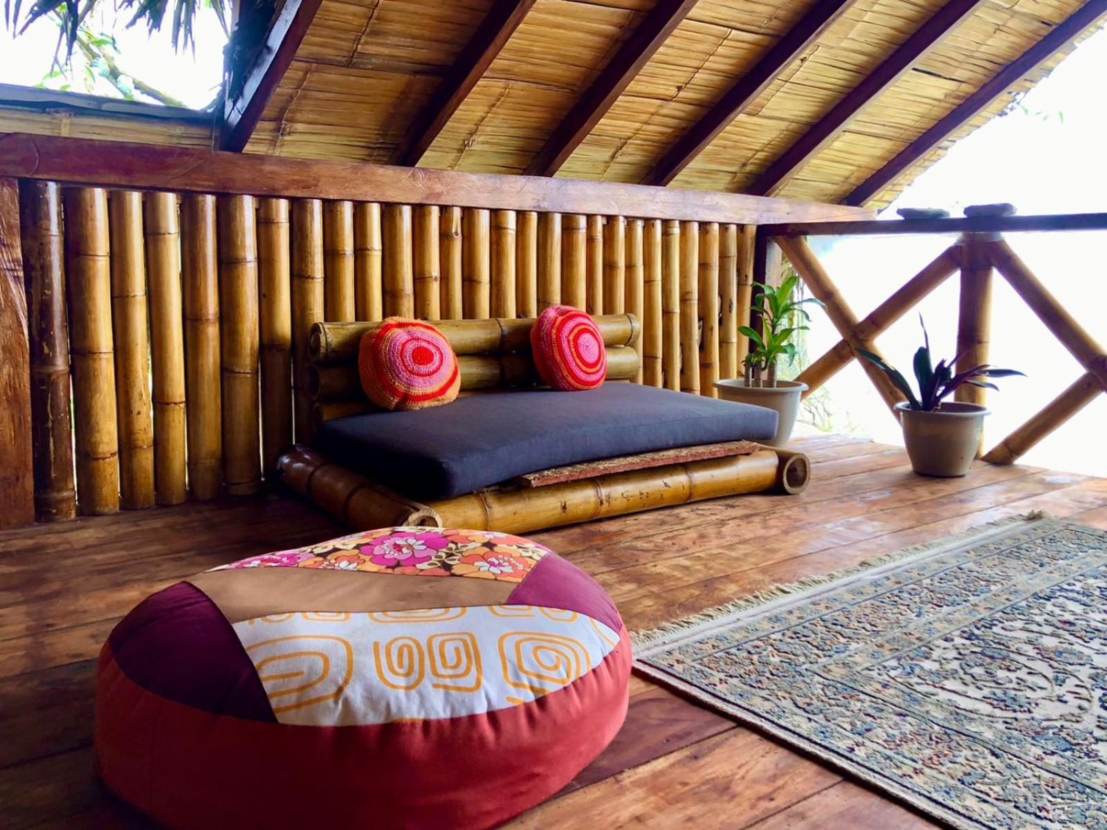 Studio with Terrace photo 1