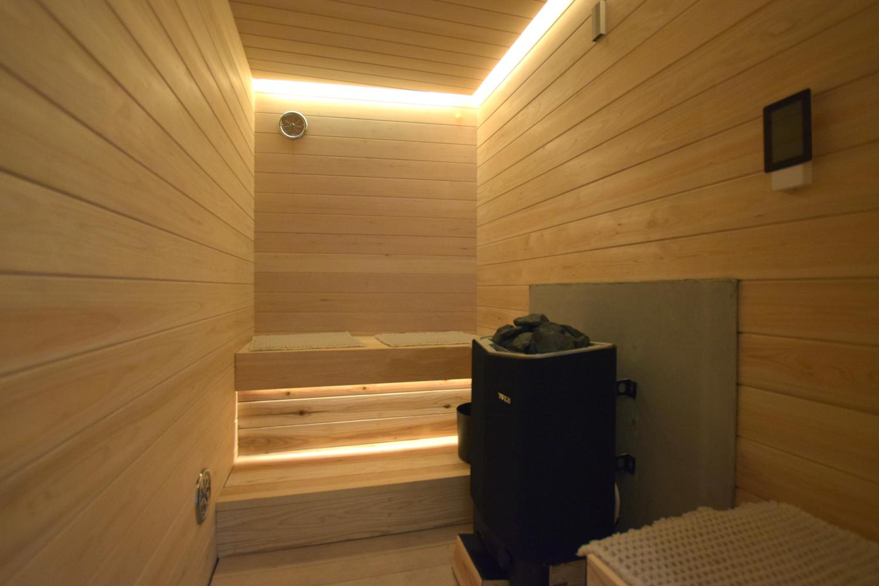 Superior Apartment with Sauna photo 3