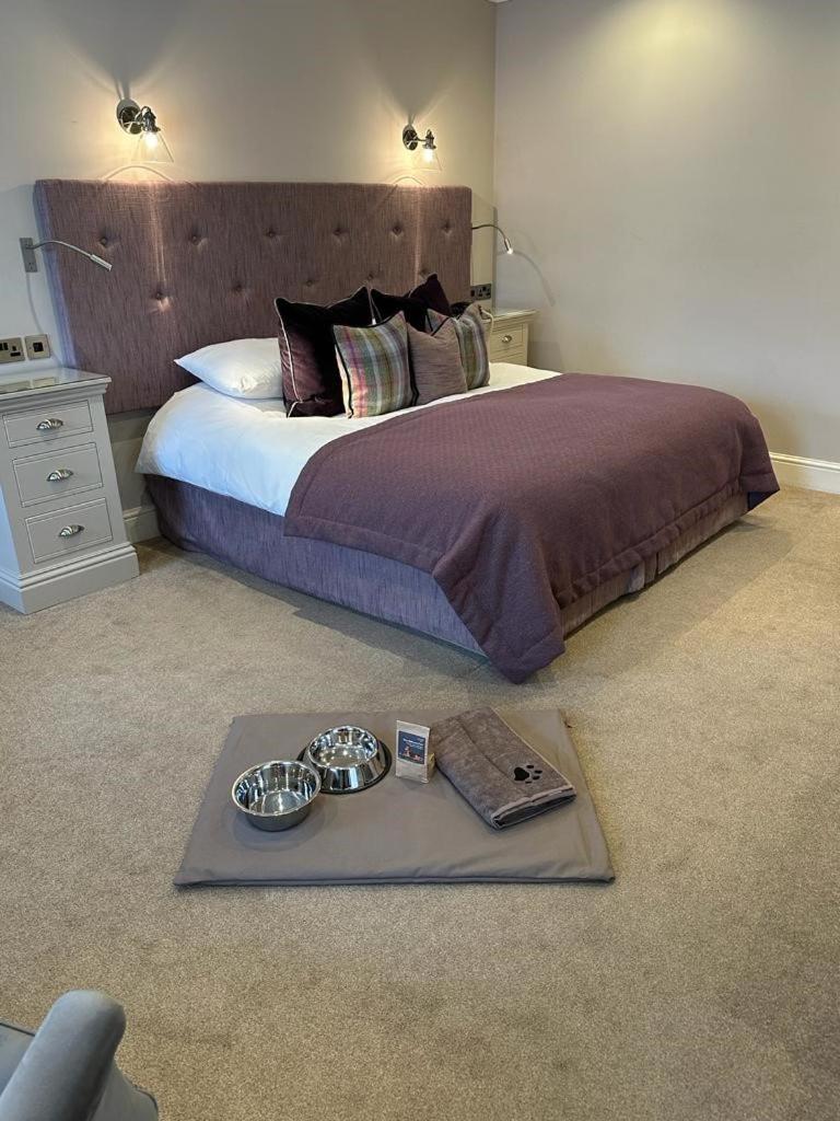 Better Double Room