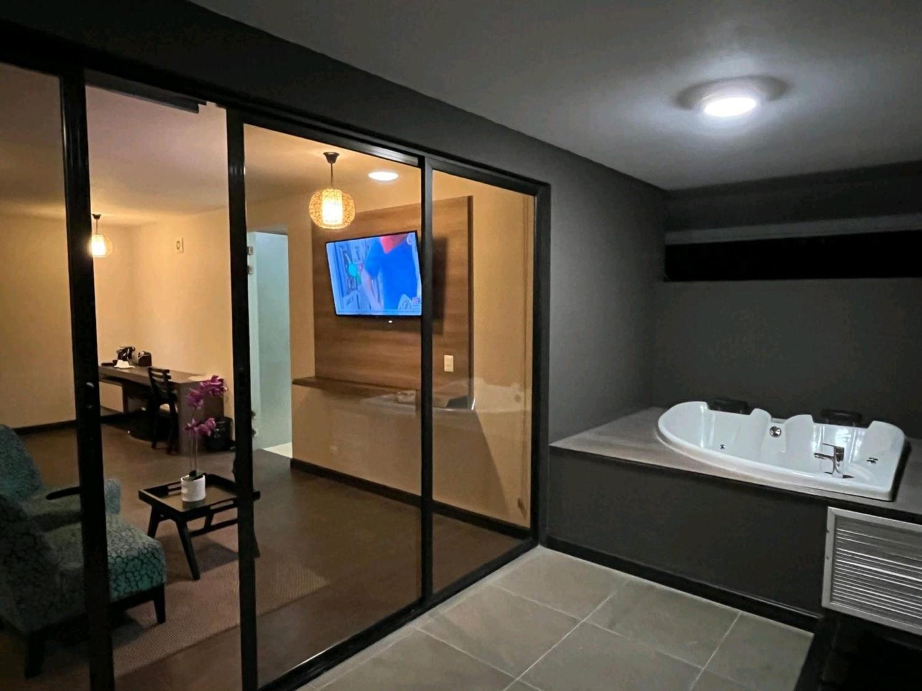 Suite - Photo 8