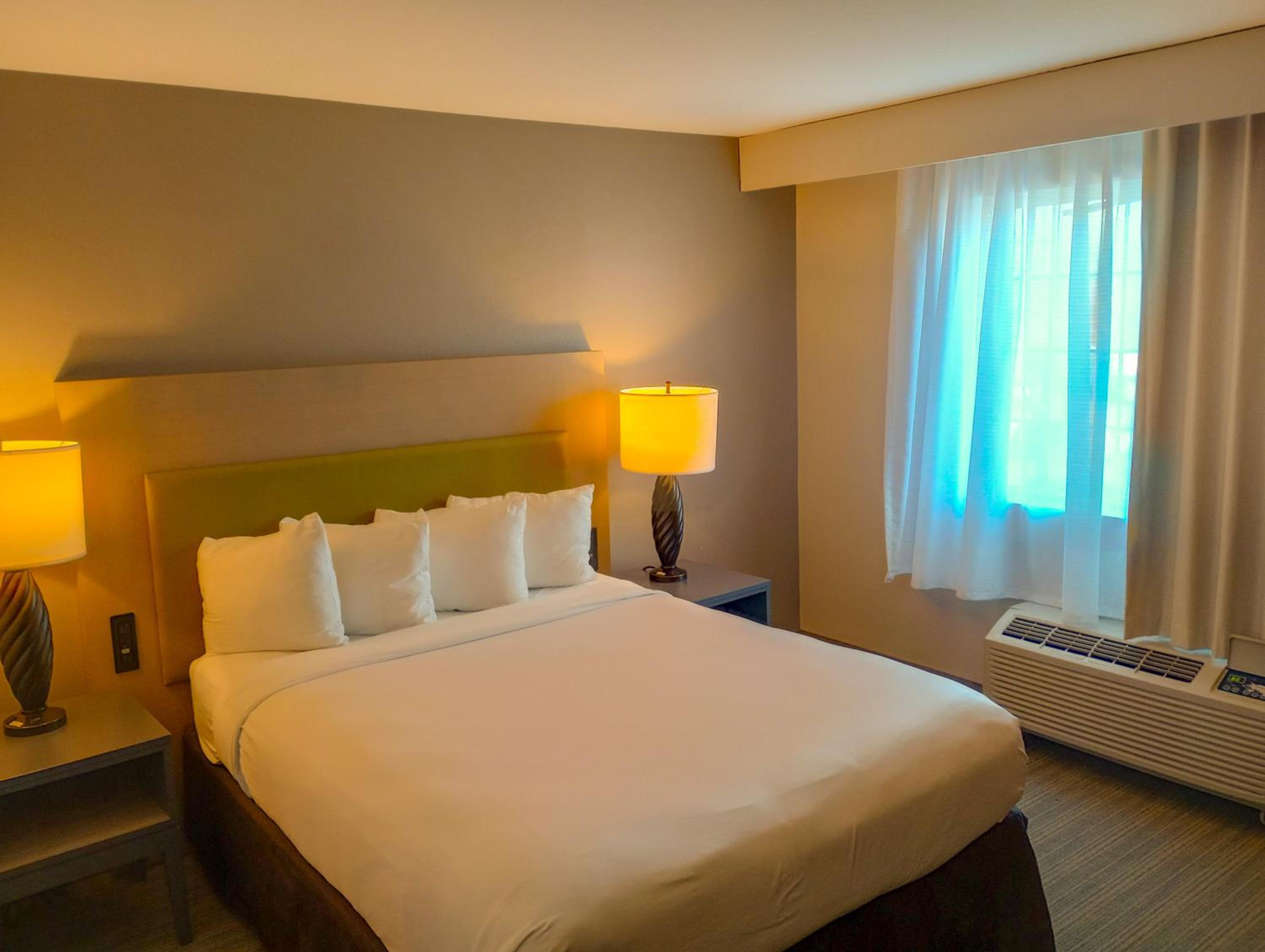 Queen Room - Non-Smoking - Photo 1