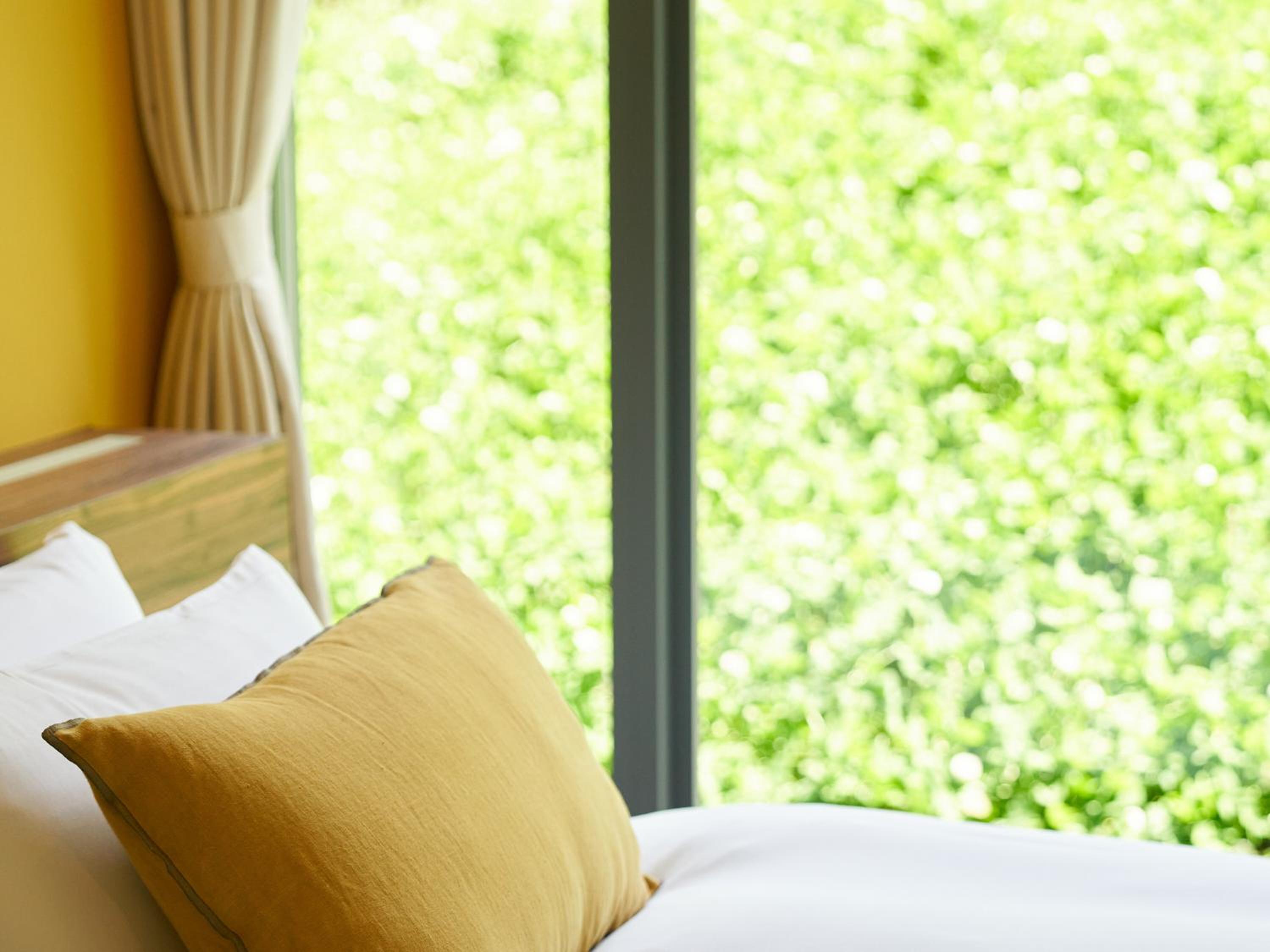 Deluxe Twin Room A