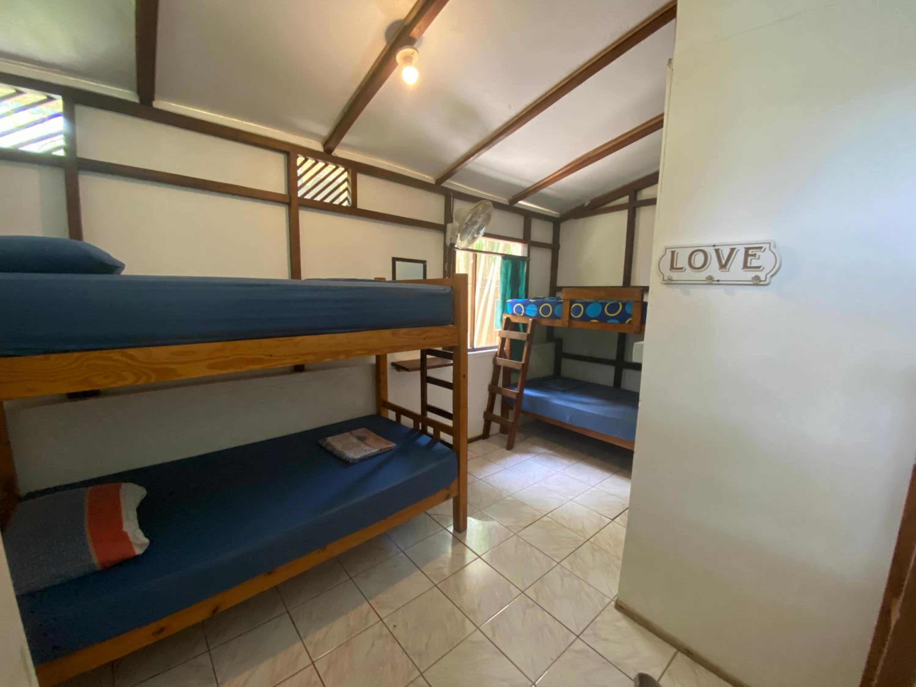 Single Bed in 6-Bed Dormitory Room photo 2