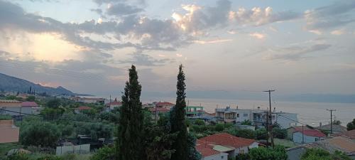 Studio Apartment with Sea View photo 2