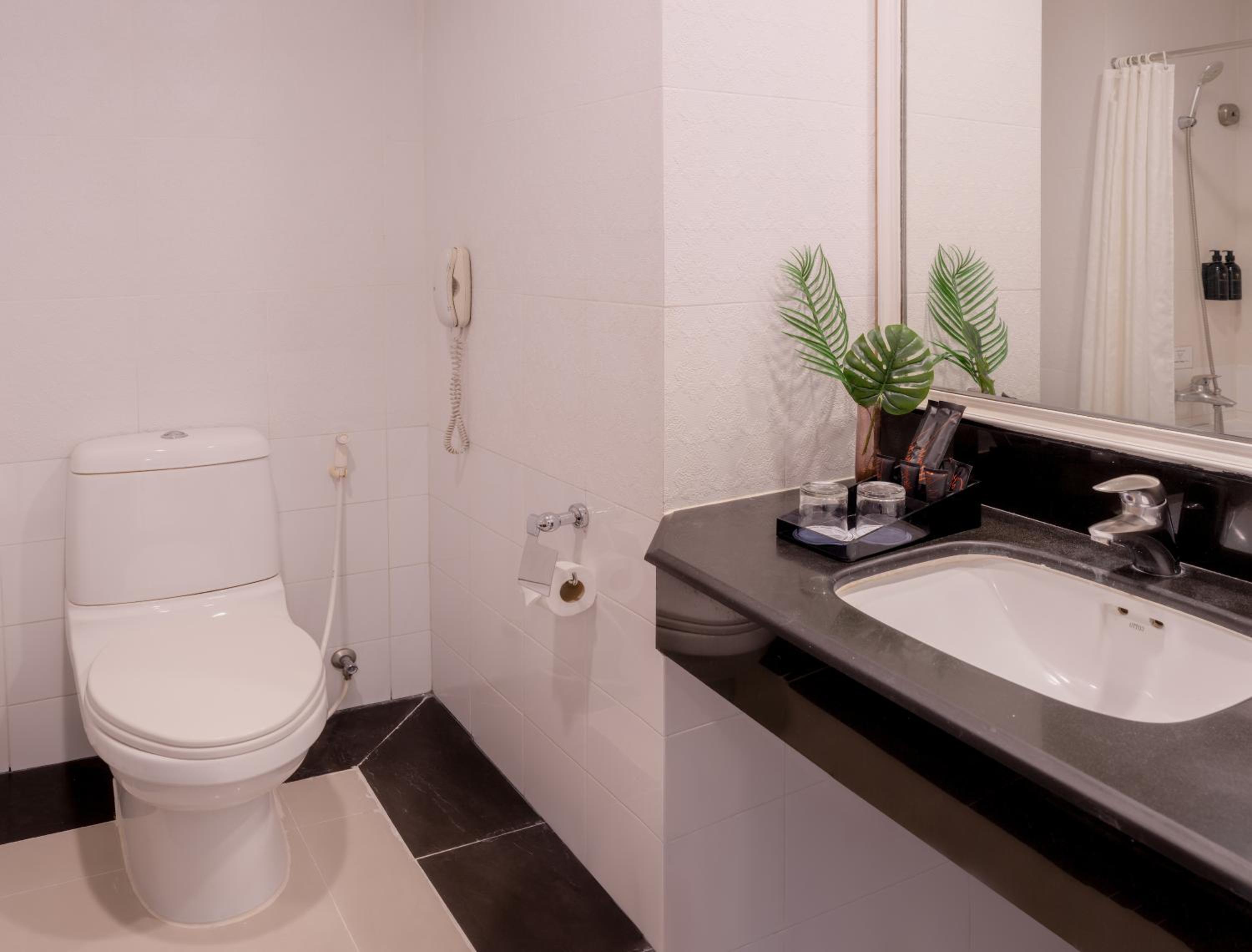 Deluxe Double or Twin Room photo 3