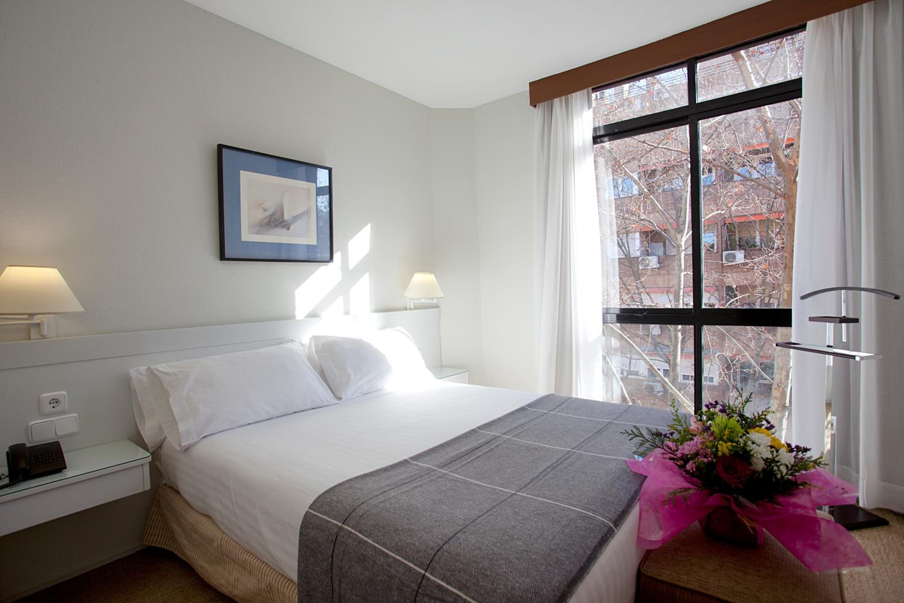 Suite (4 Adults)