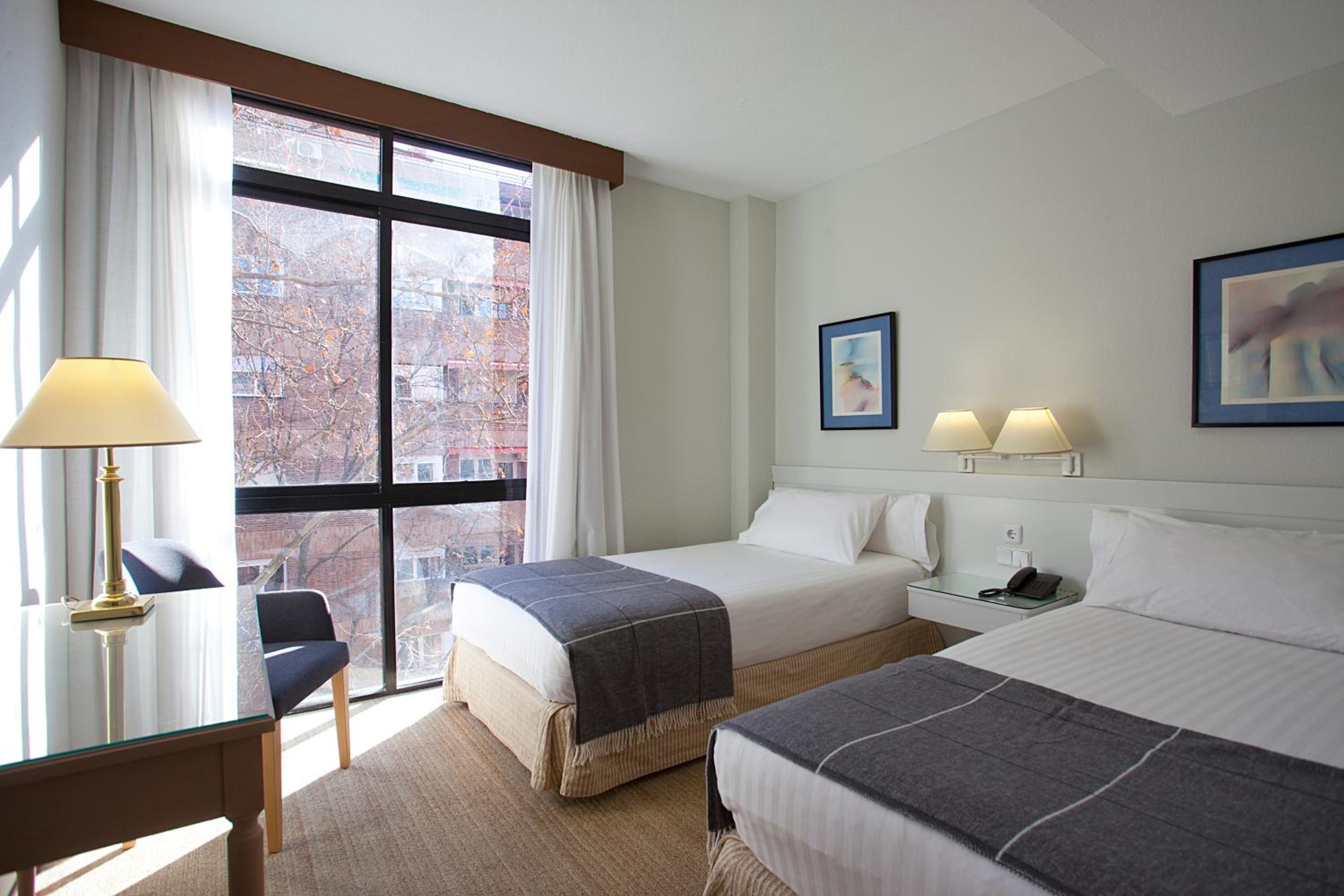 Suite - Photo 17