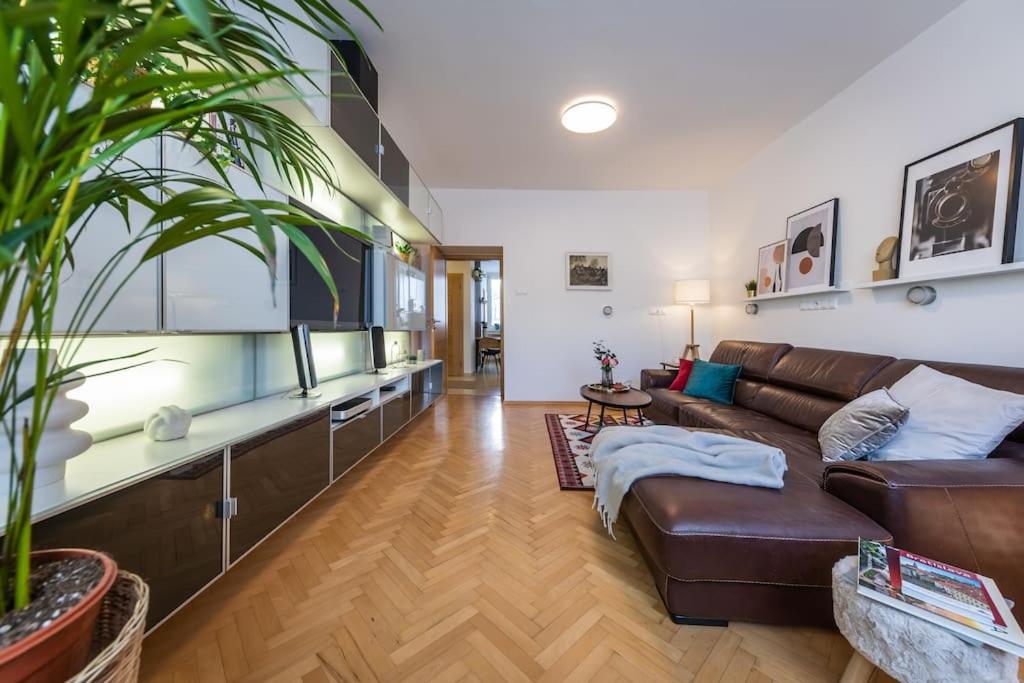 One-Bedroom Apartment photo 3