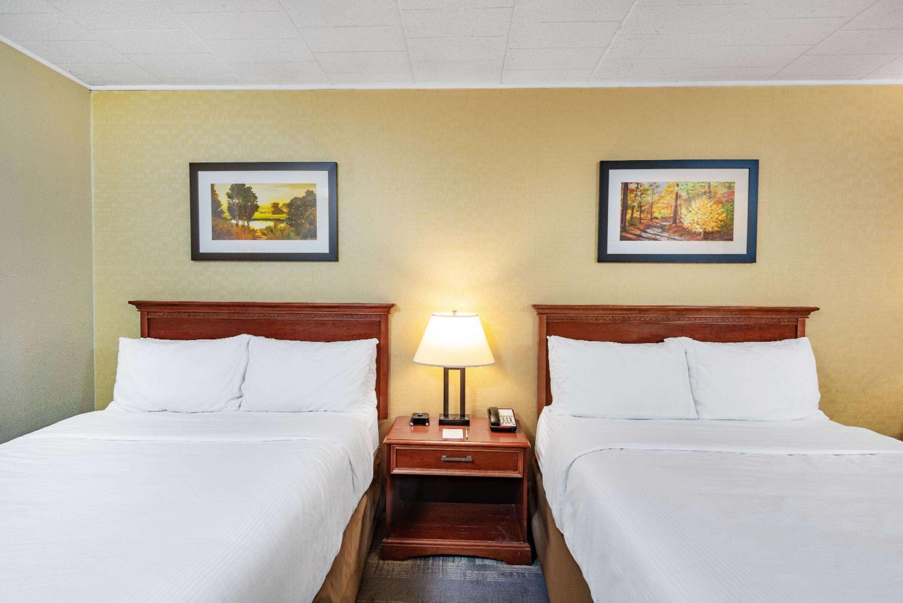 Queen Room with Two Queen Beds - Pet Friendly/Non-Smoking - Photo 4