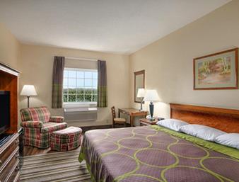 Standard Double Room - Photo 1