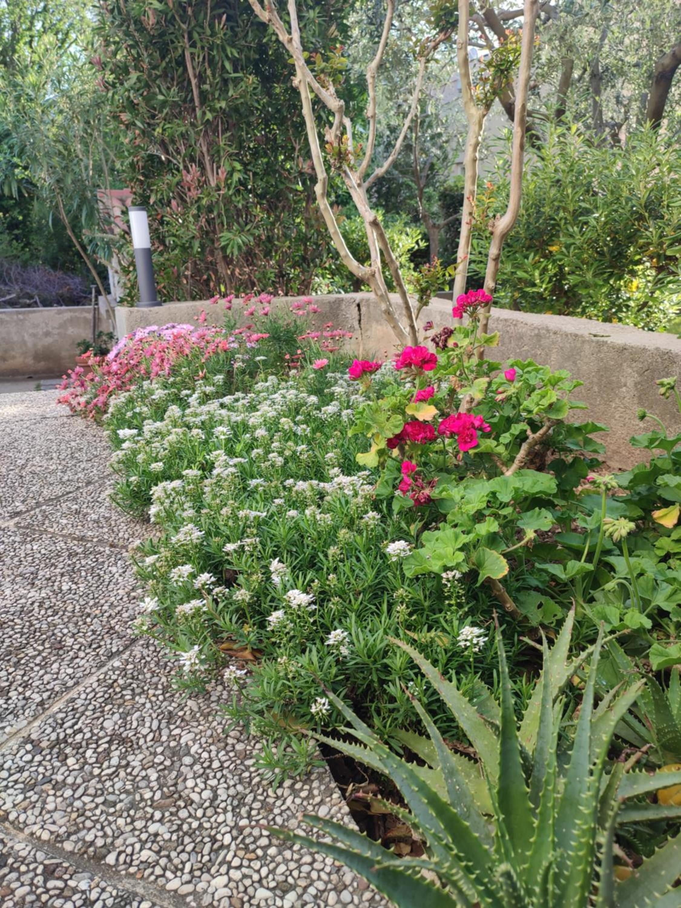 Studio with Patio photo 3