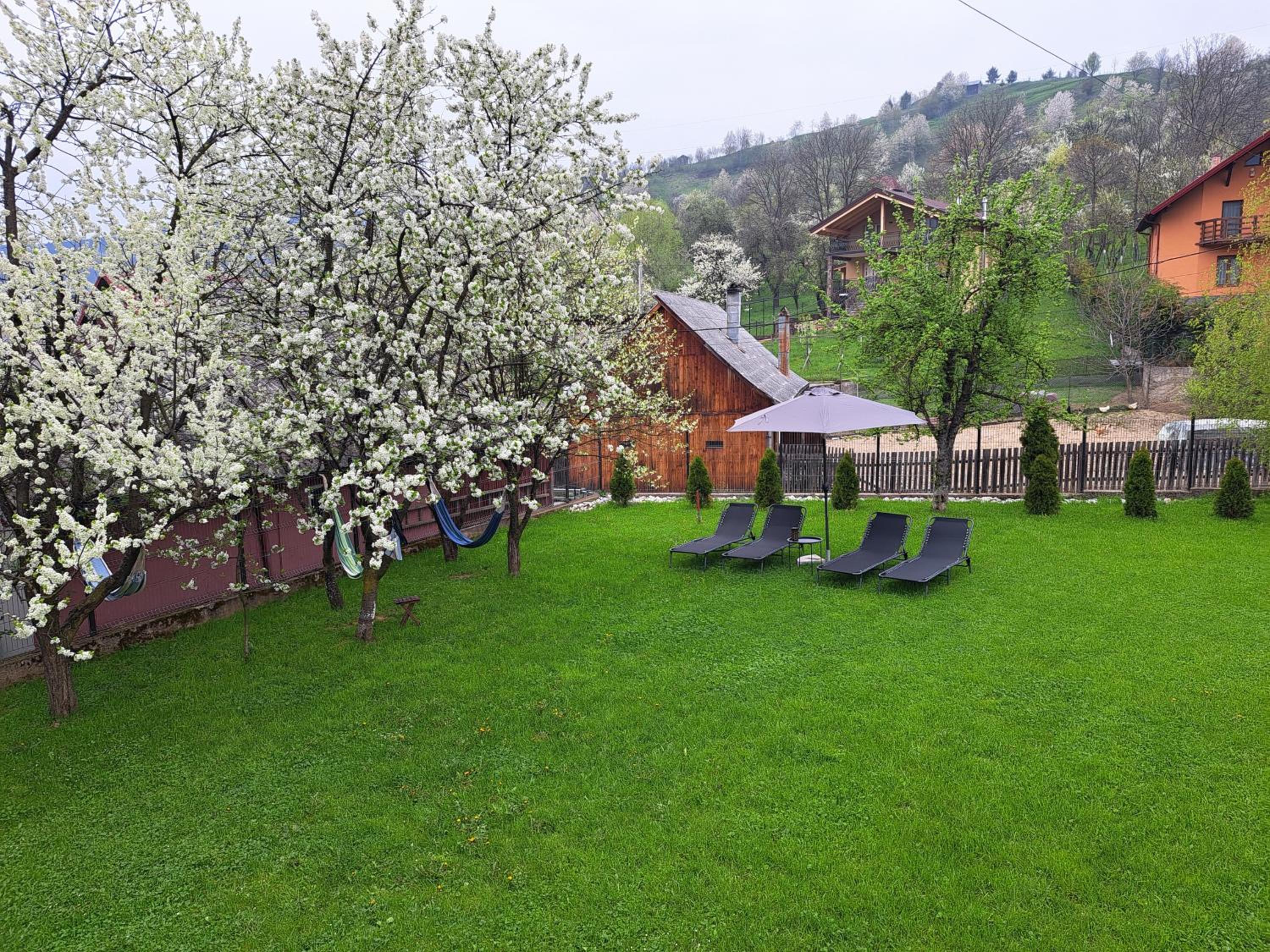 Villa with Garden View photo 2