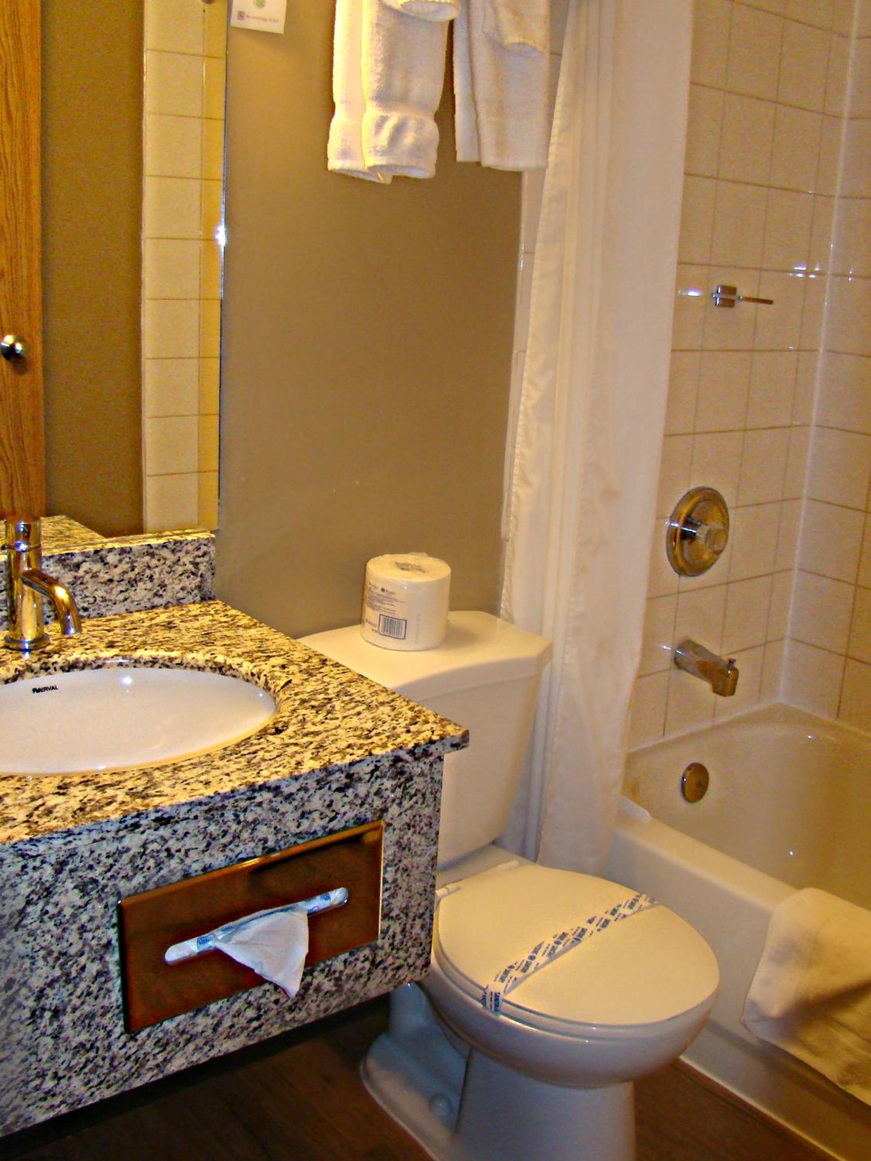 Deluxe King Room with Kitchenette photo 3