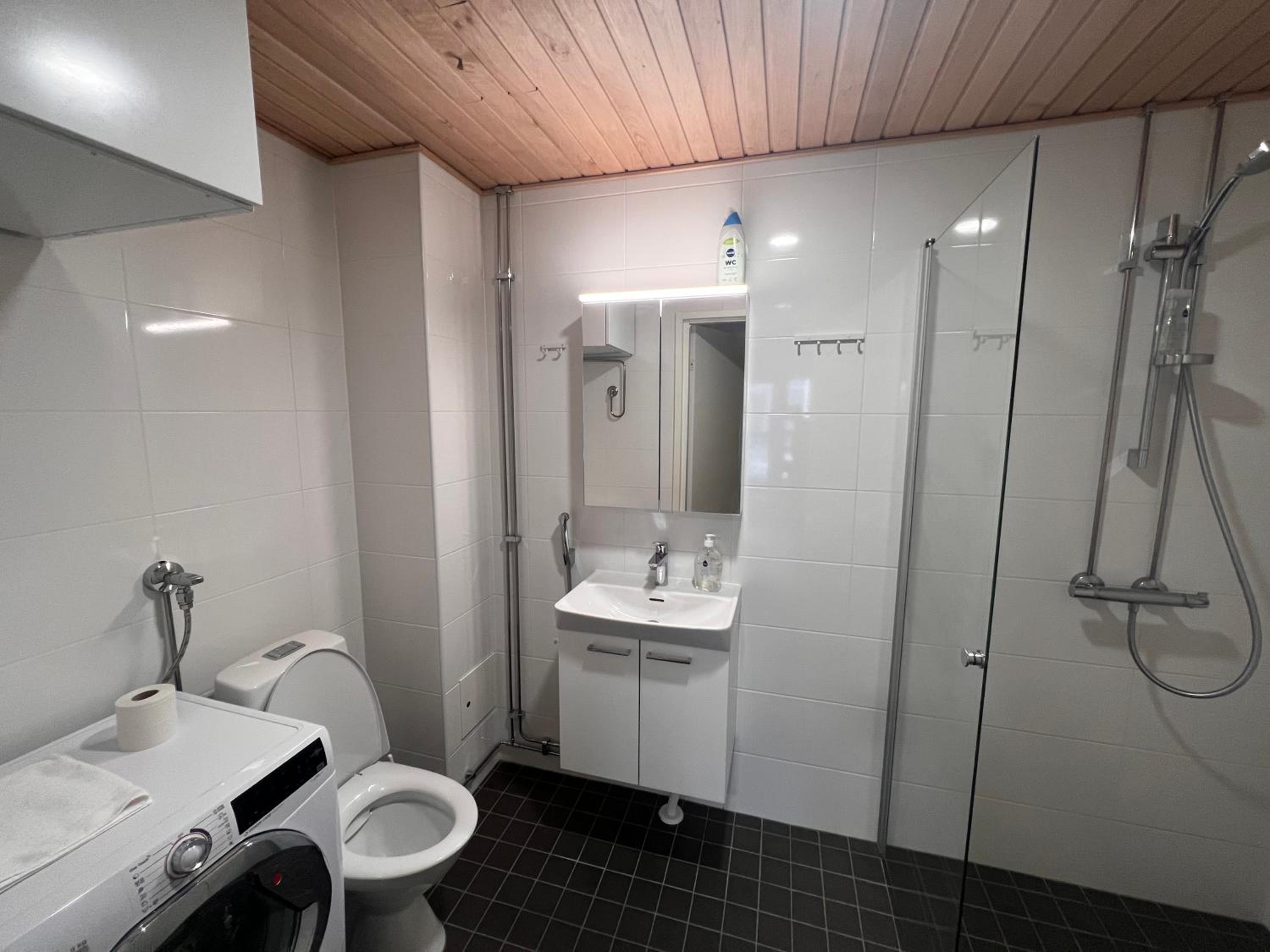 Studio Apartment photo 3