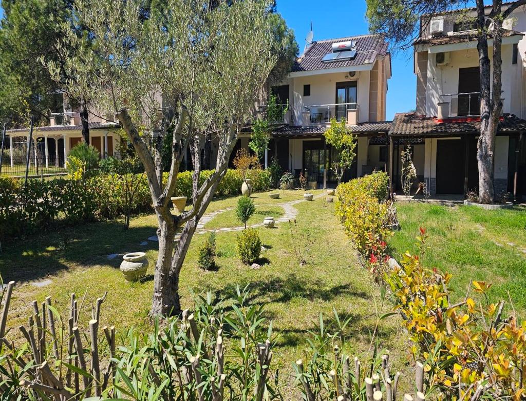 Villa photo 3