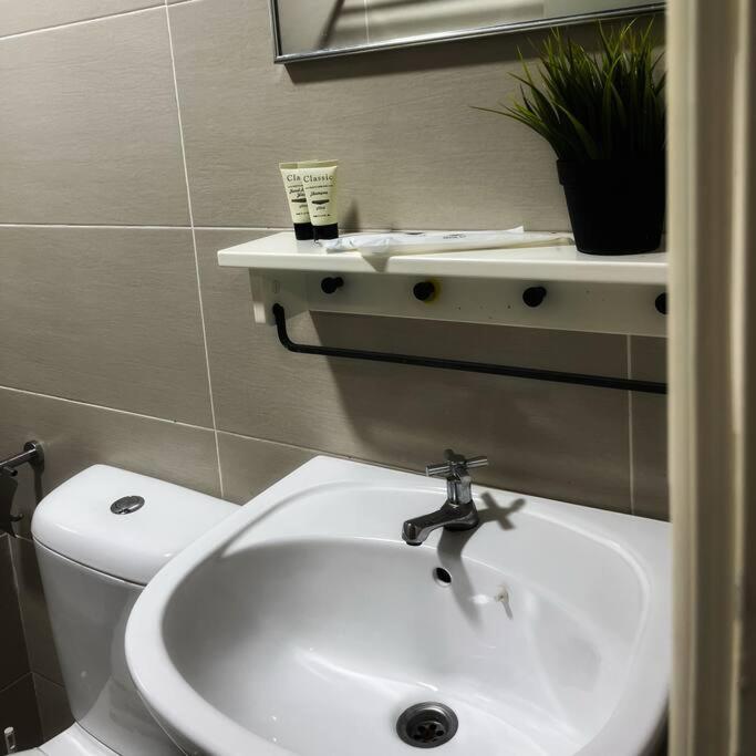 Duplex Apartment photo 3