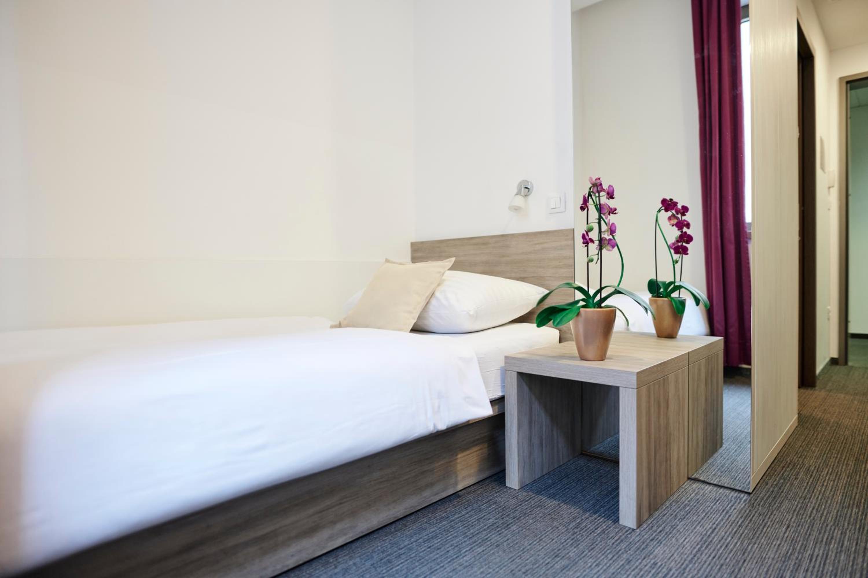 Single Room photo 1